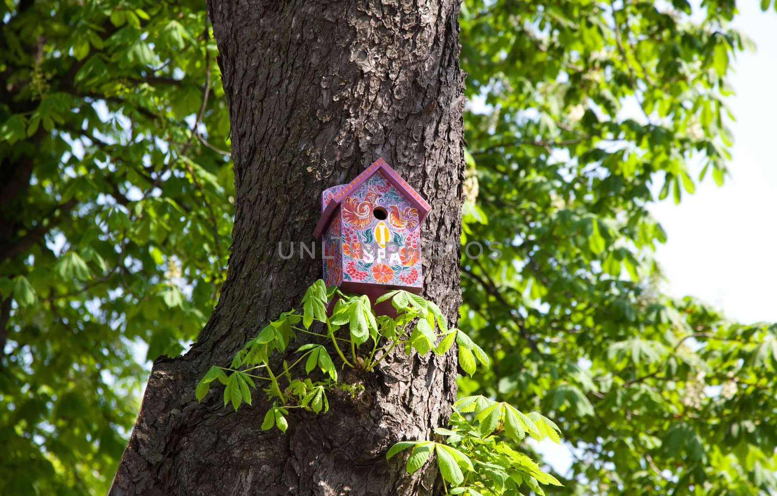 Pink nesting box on chesnut tree