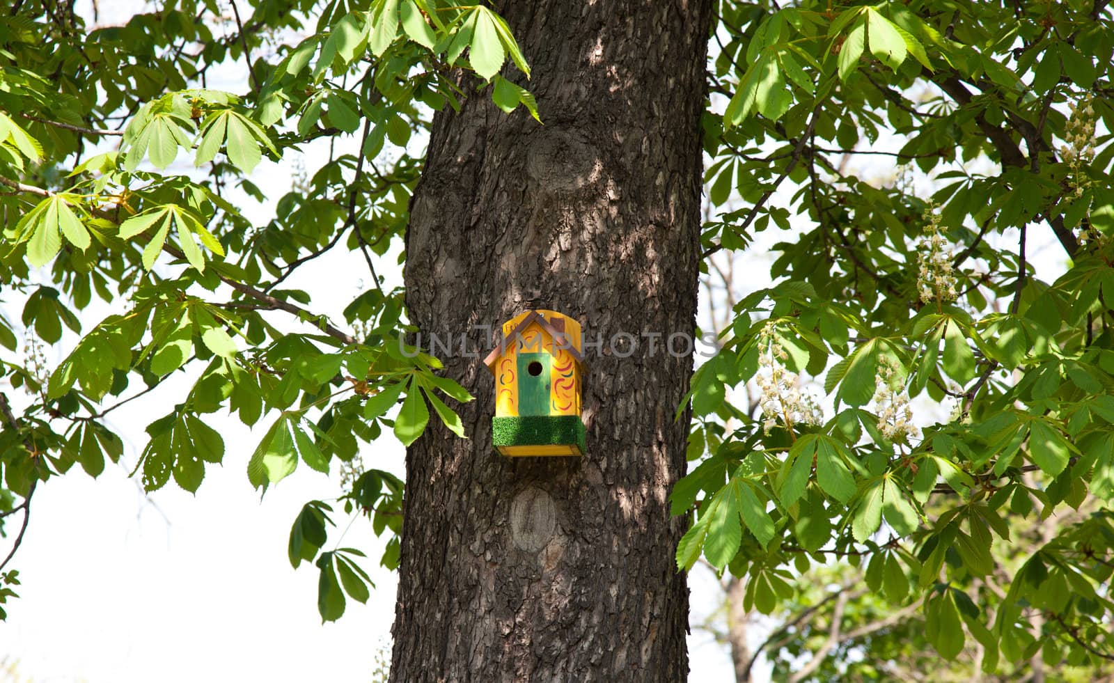 Yellow nesting box by RawGroup