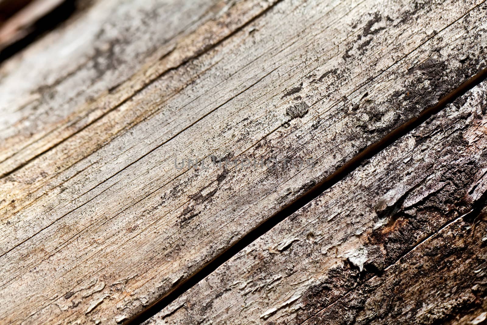 Old grey wooden texture