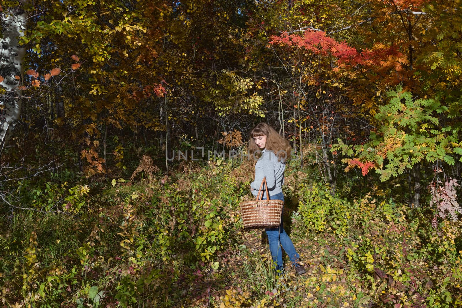 girl with a basket in the autumn forest