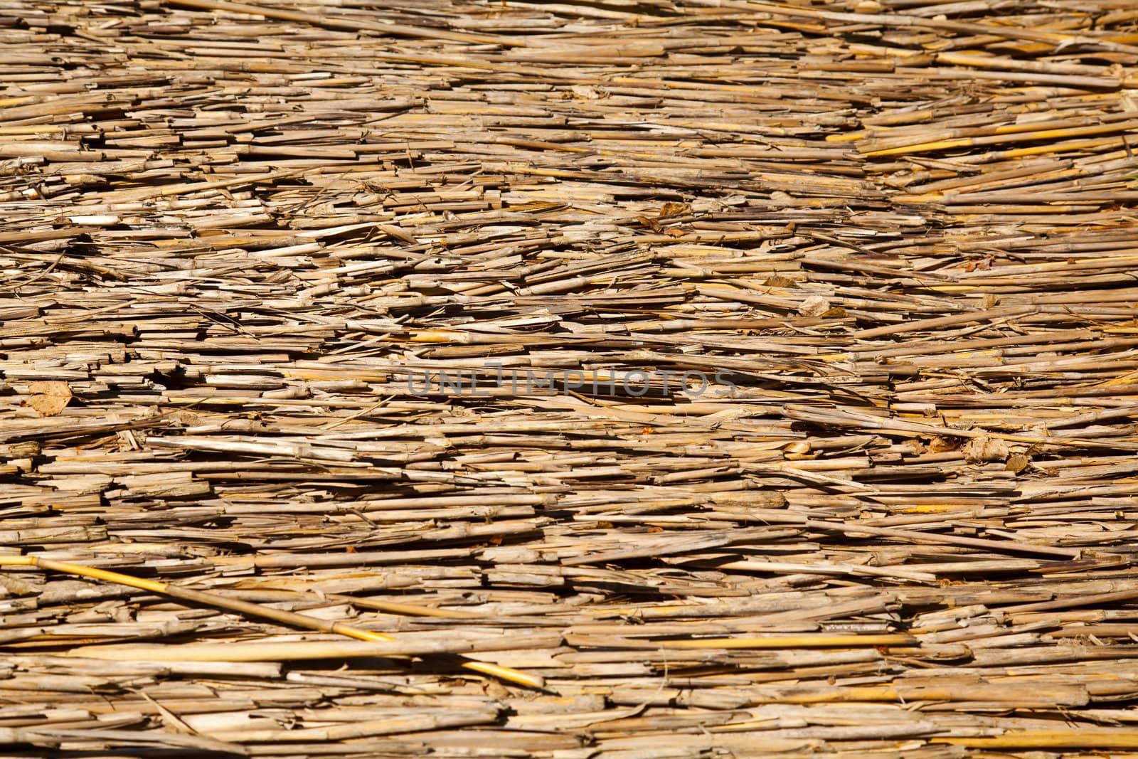 Dried straw horizontal background