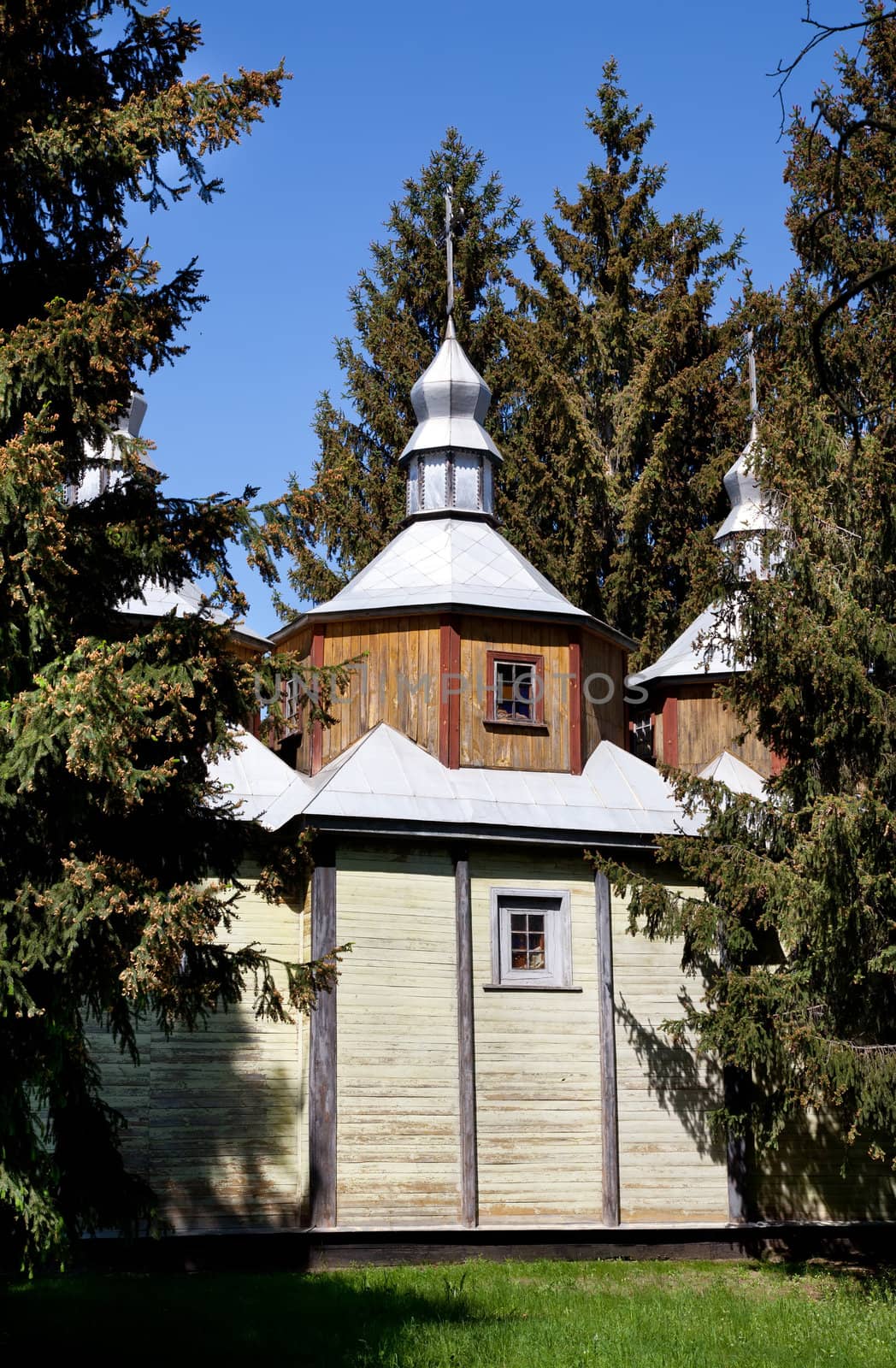 Ancient wooden church and pine tree