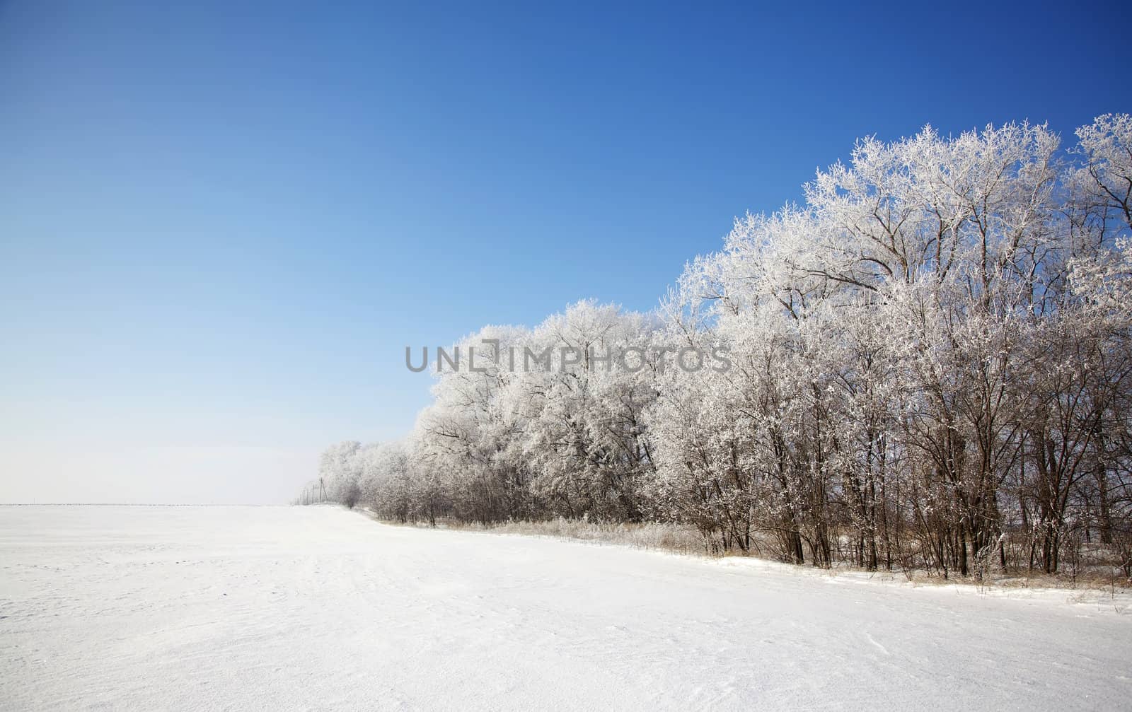 Beautiful winter landscape with meadow and forest