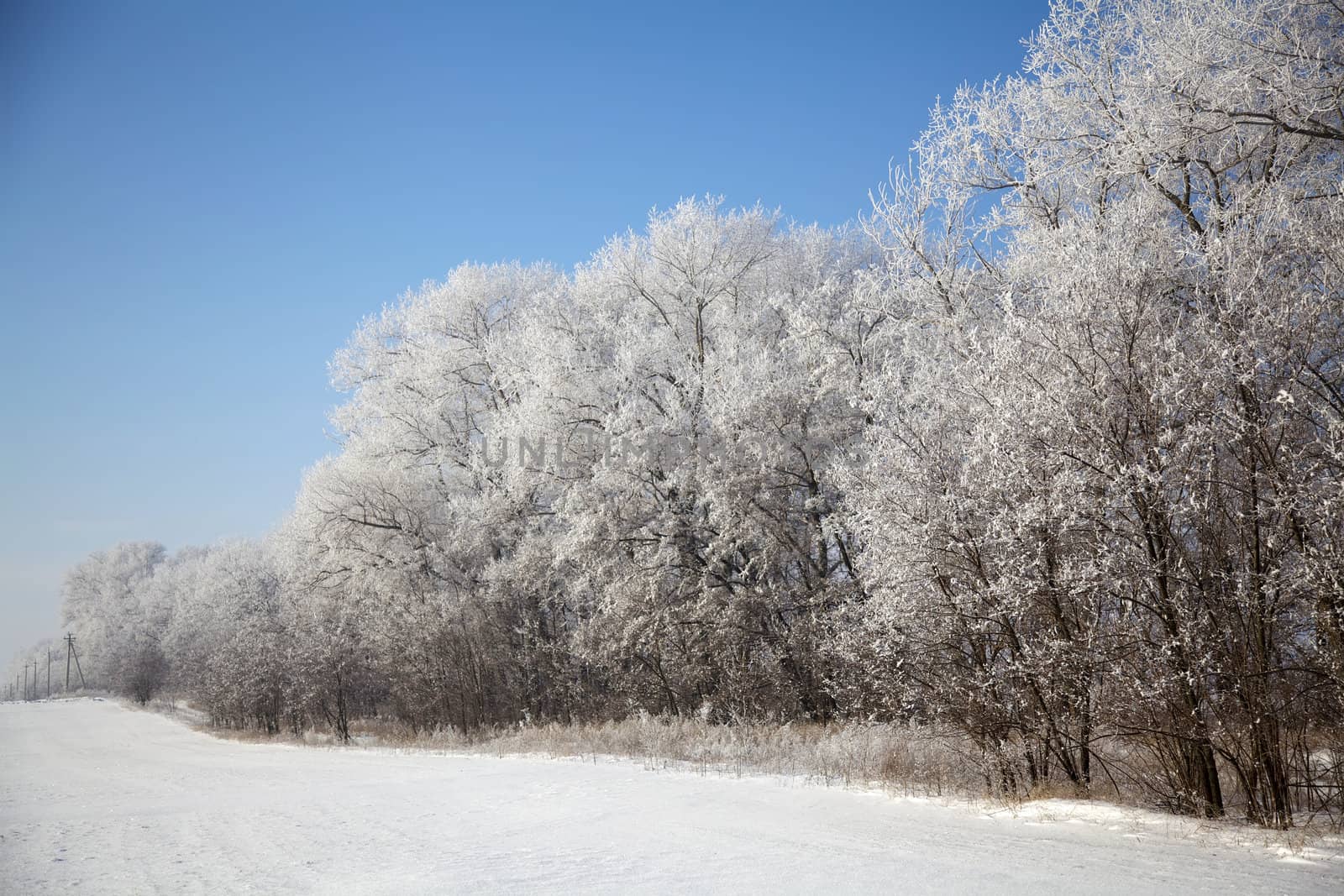 Winter russian landscape by RawGroup
