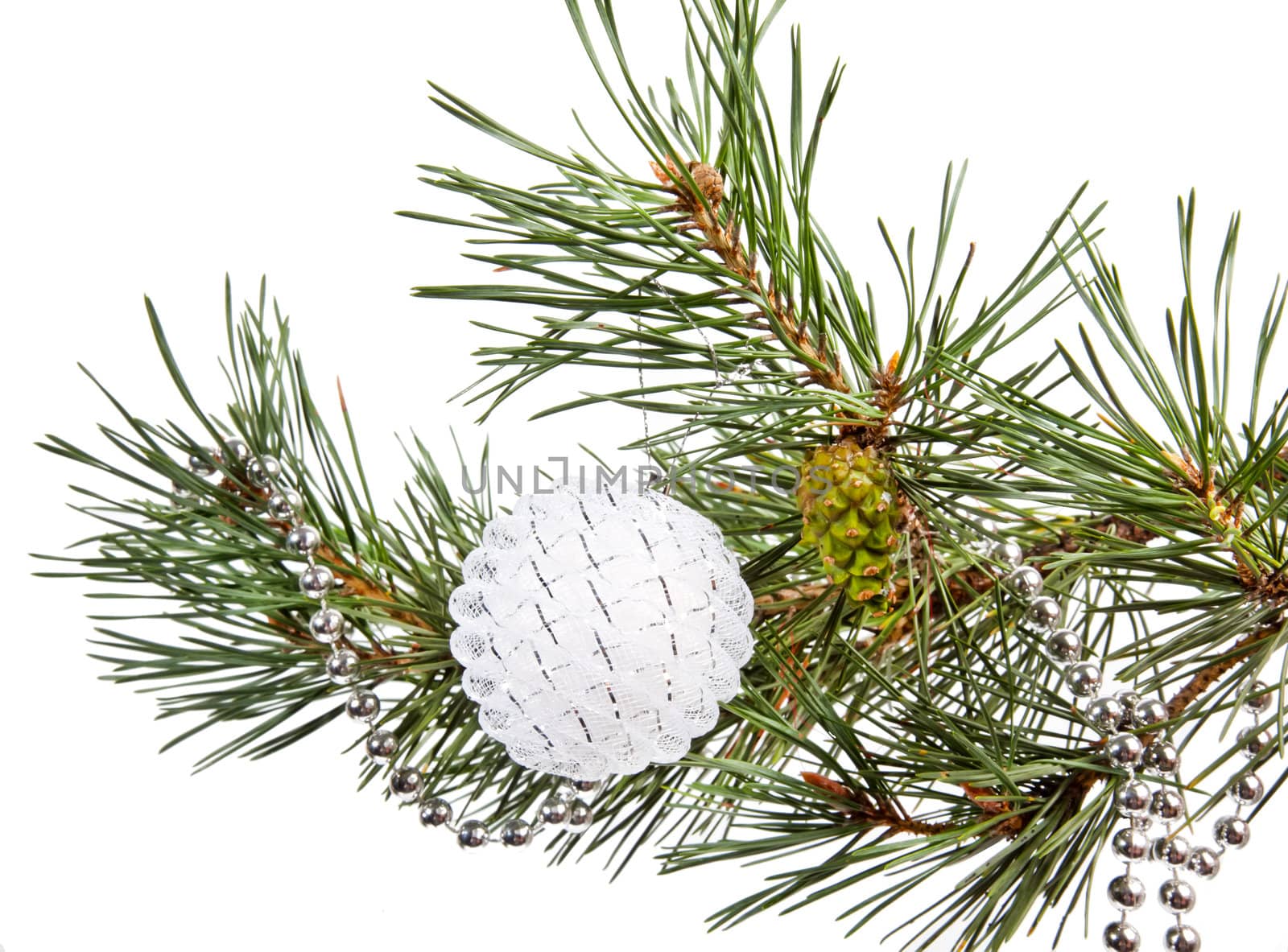 Fir tree branch with white Christmas ball on white background