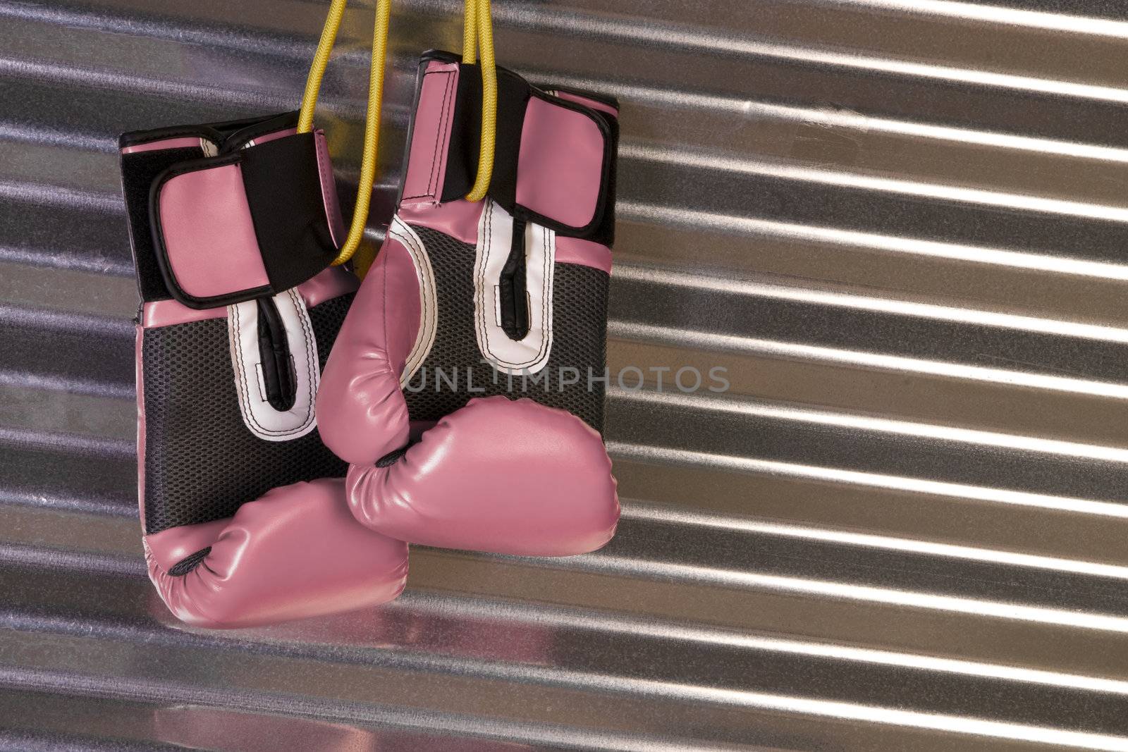 Pink Boxing Gloves Hanging on a Hook by ChrisBoswell
