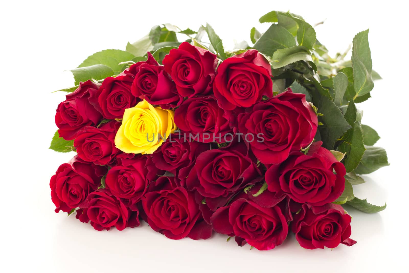 Bunch of roses