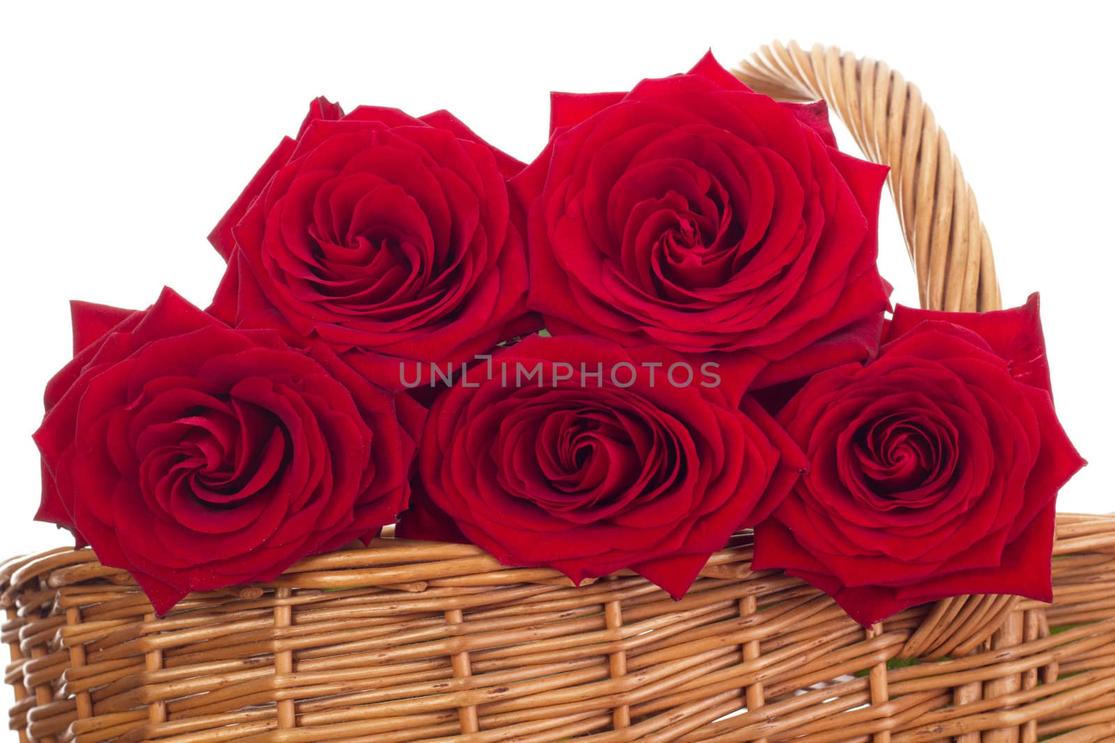 Roses in a basket