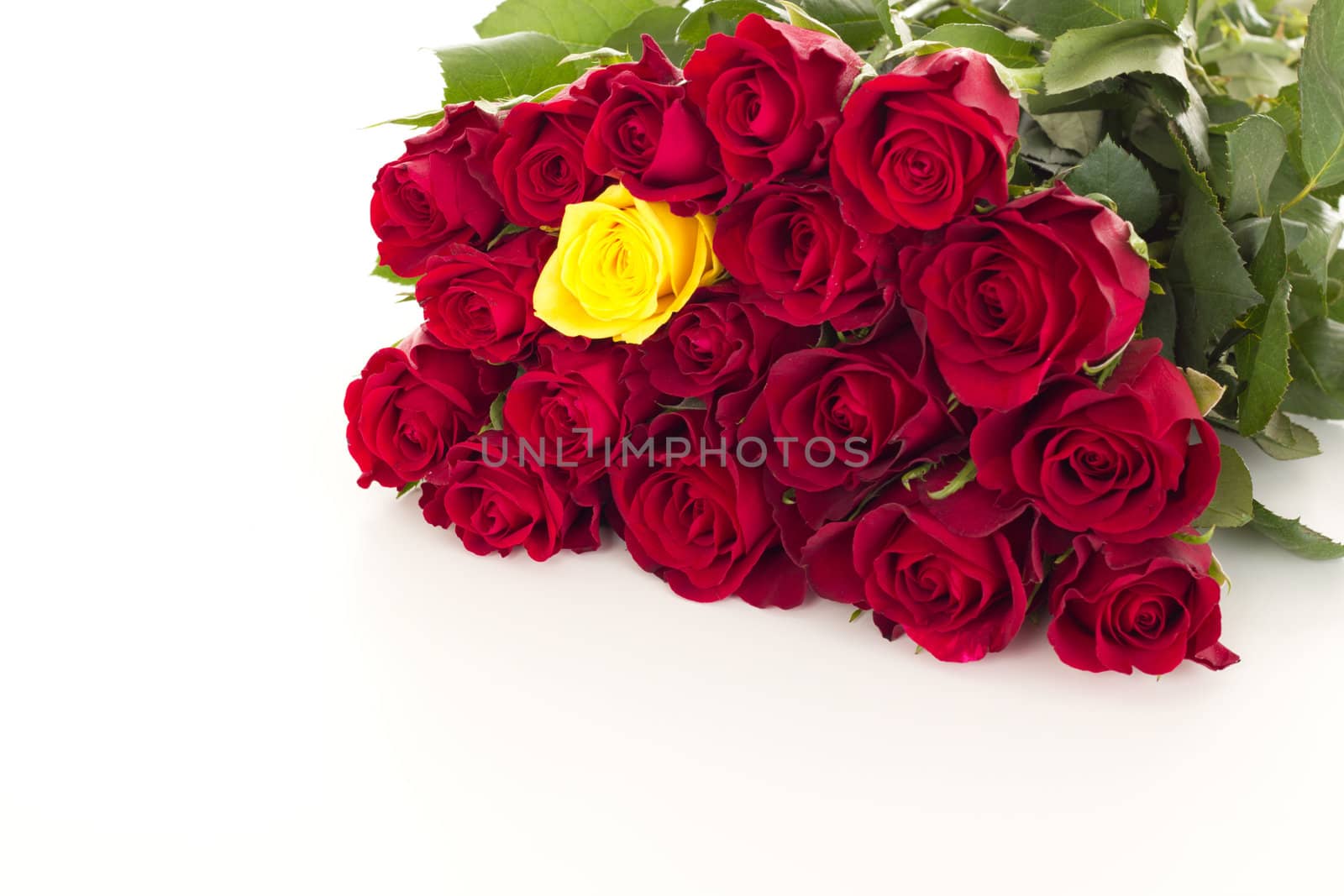 Bunch of roses