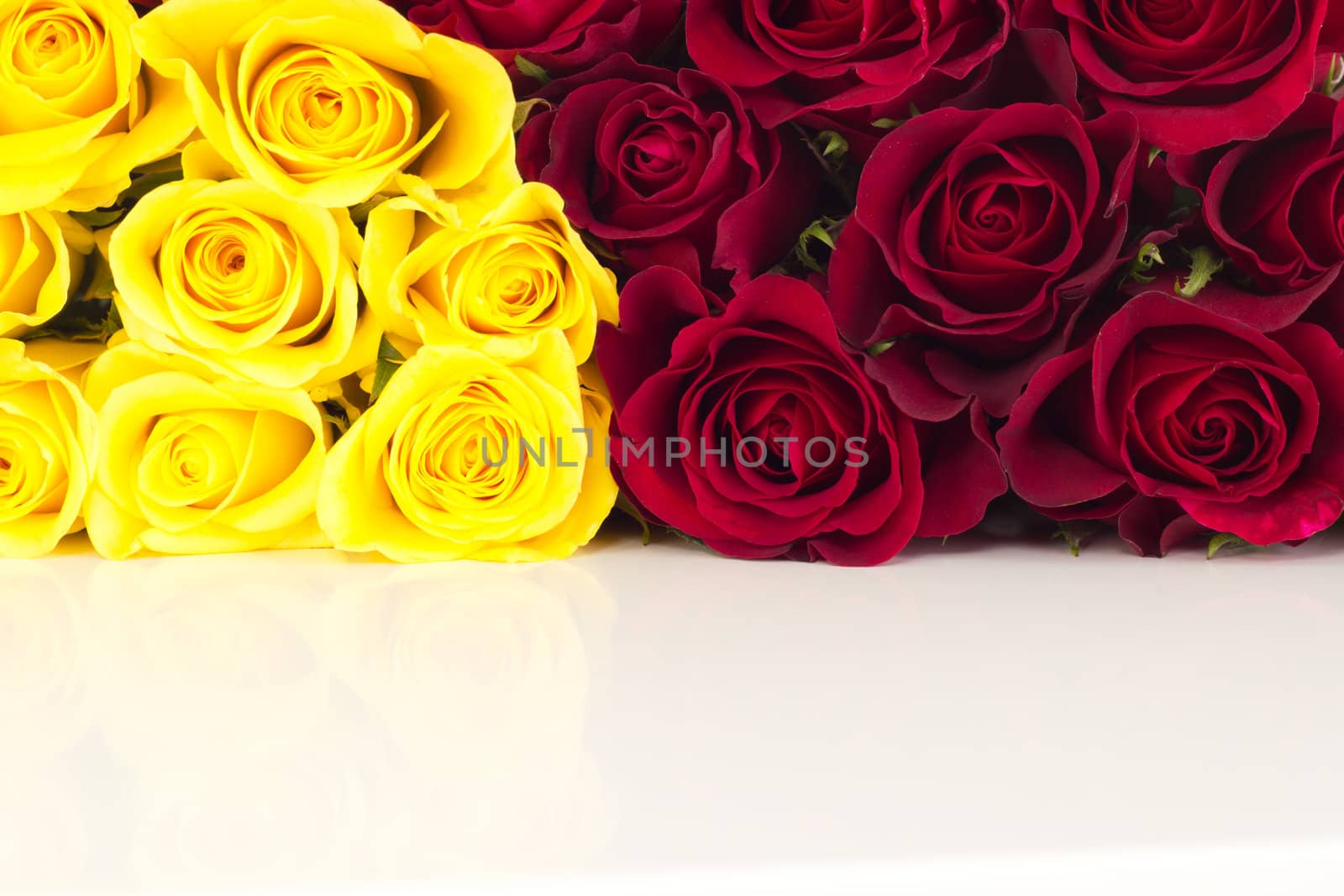 Closeup of roses