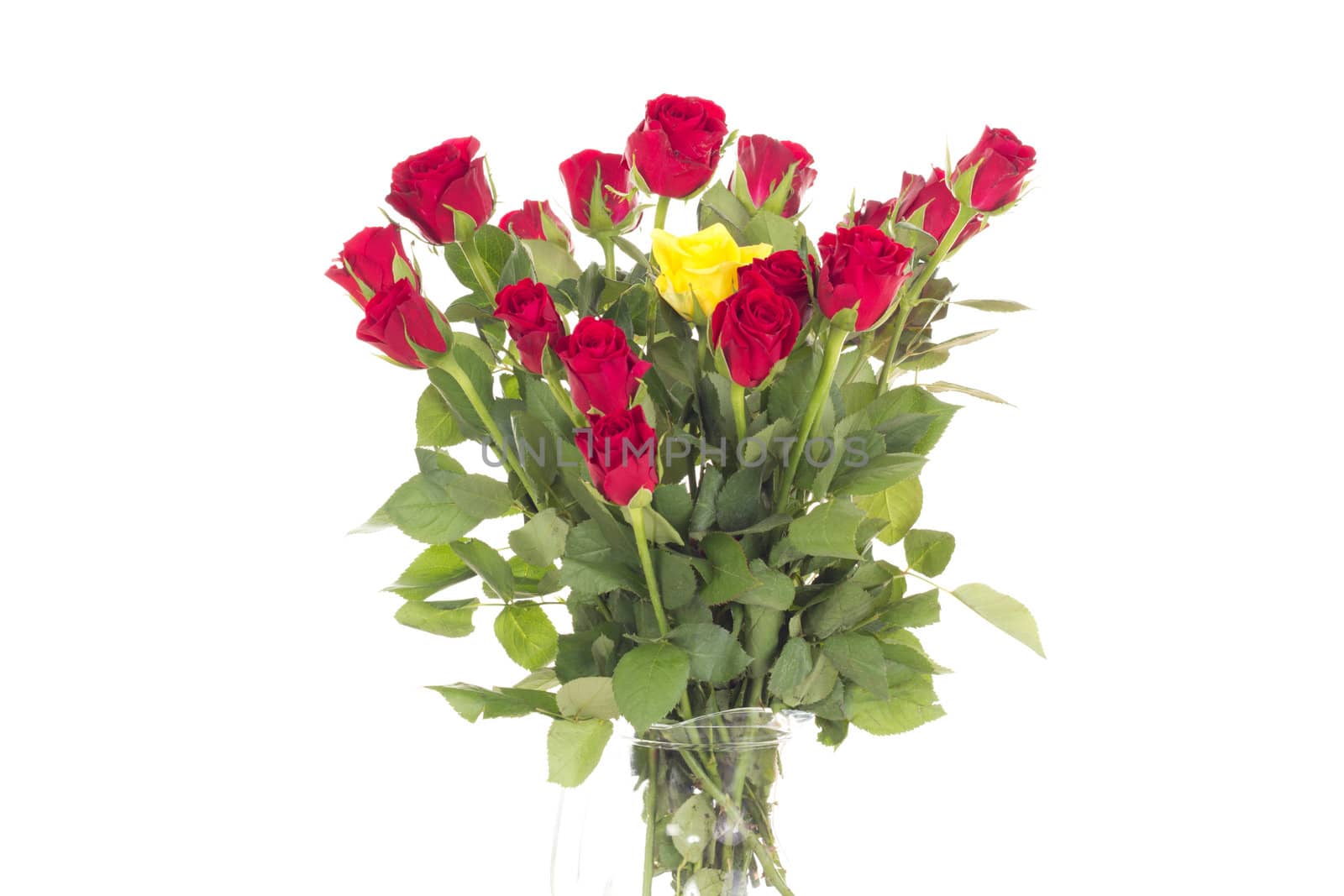 Bunch of roses