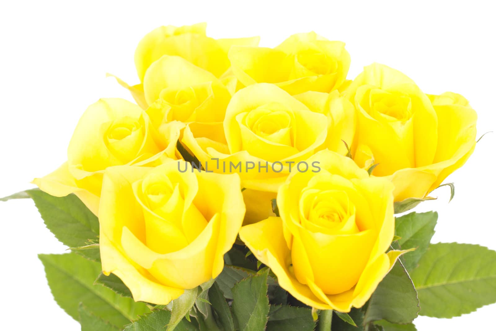 Bunch of roses
