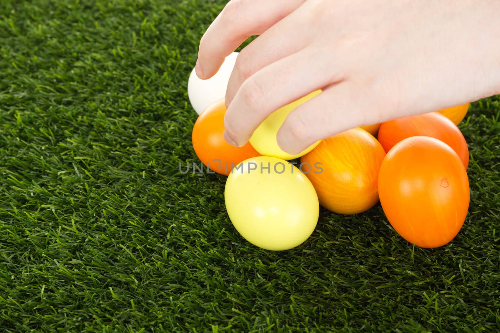 Easter eggs in grass