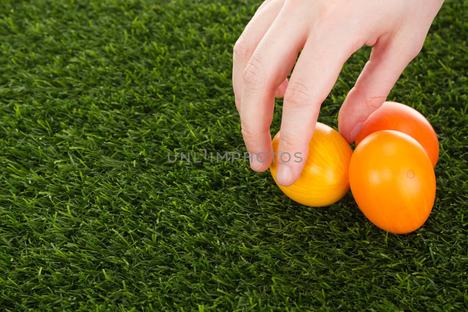 Easter eggs in grass