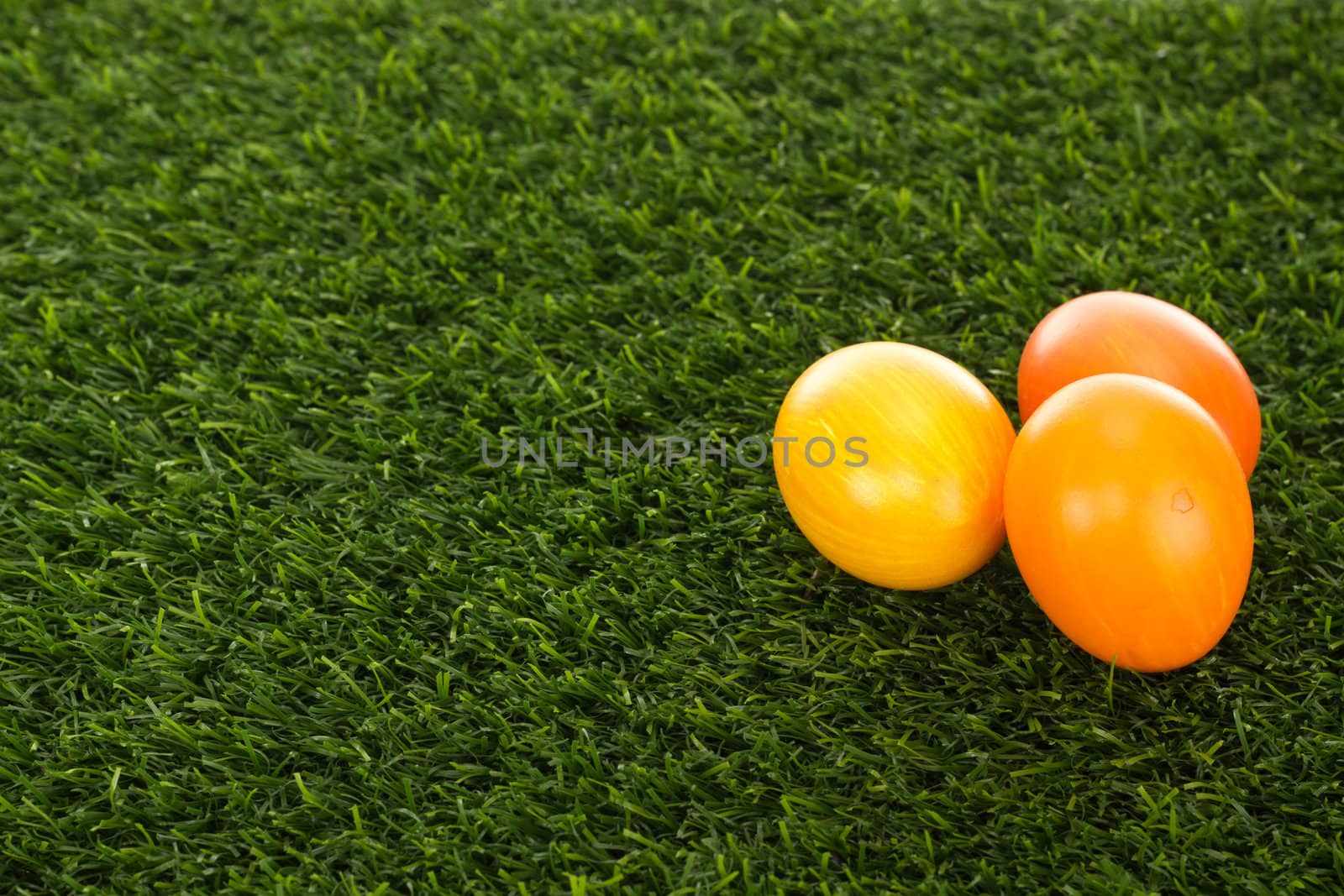 Easter eggs in grass