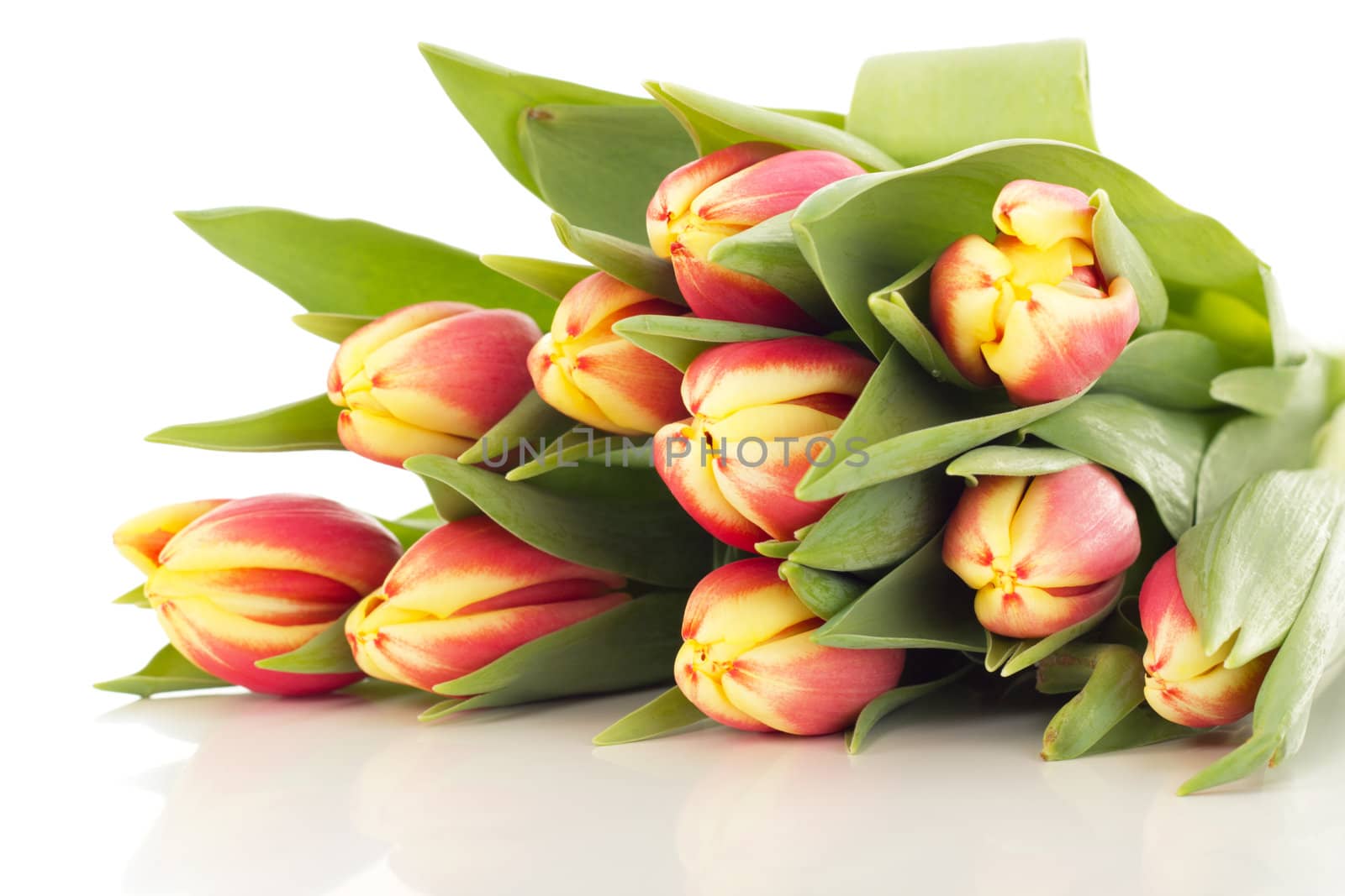 Bunch of tulips