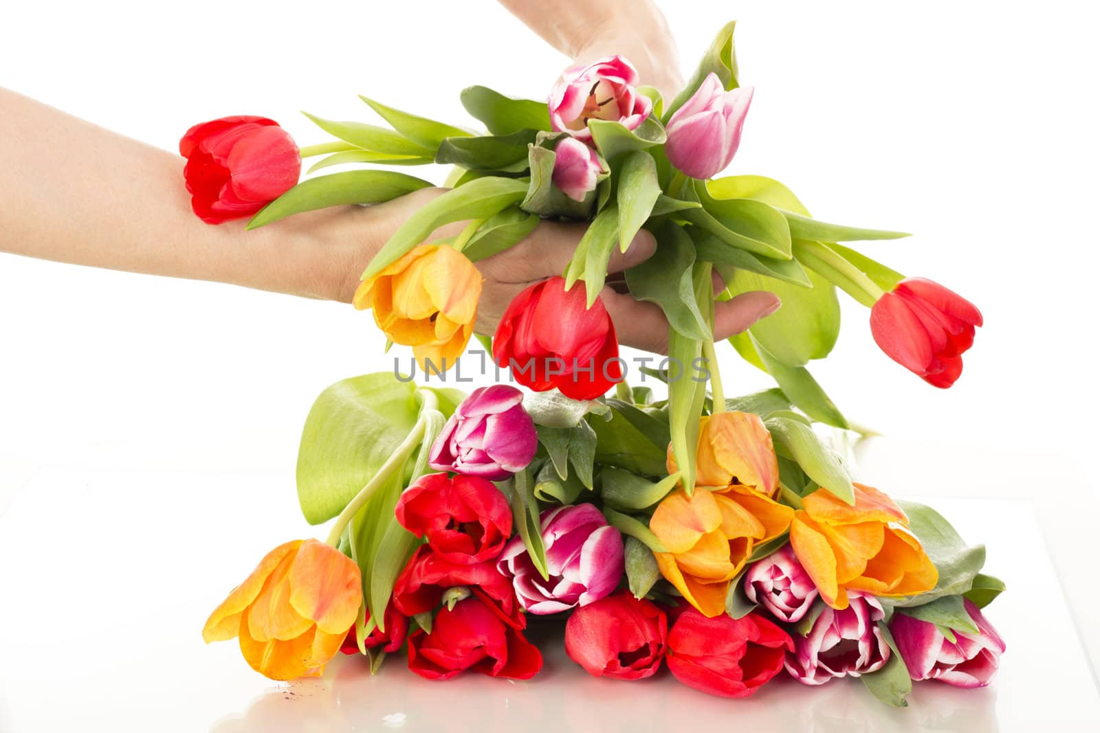 Bunch of tulips