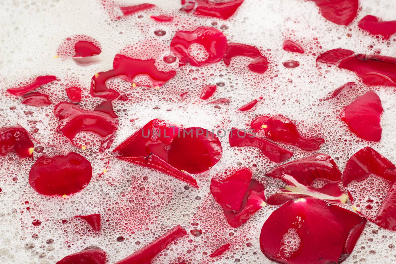 Bath water with rose petals