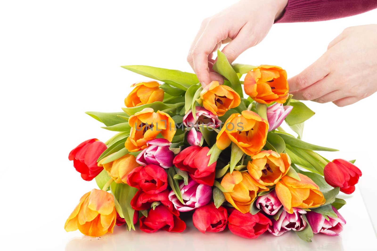 Bunch of tulips
