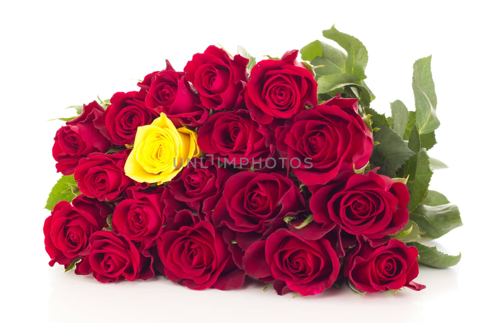 Bunch of roses