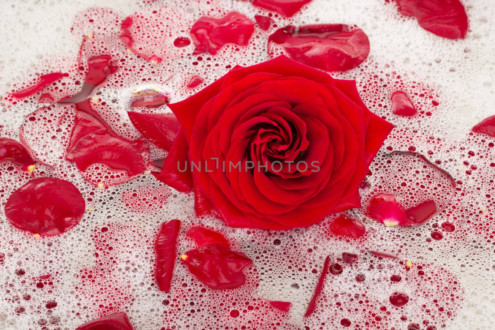 Bath water with rose petals