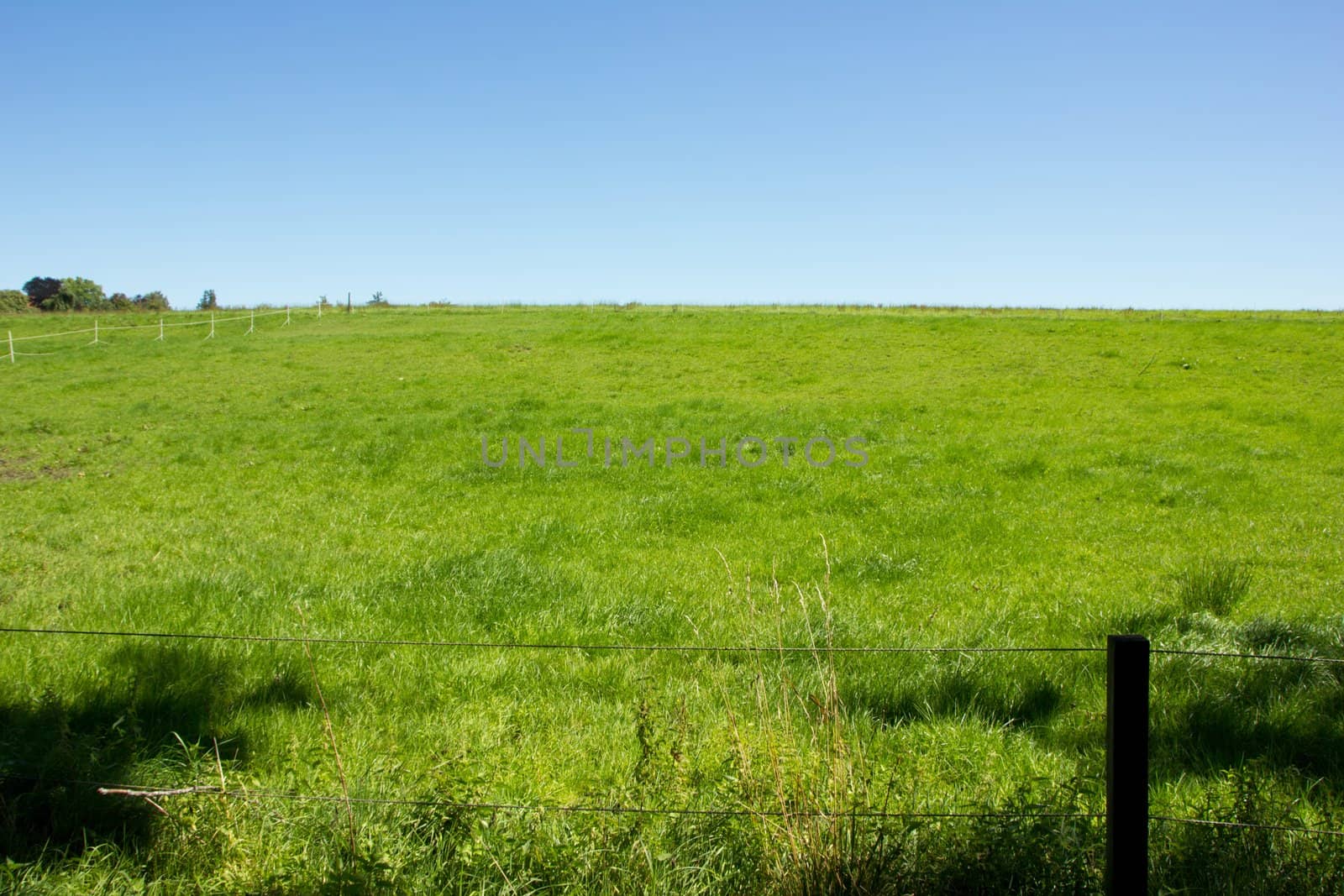 Sky and grassland