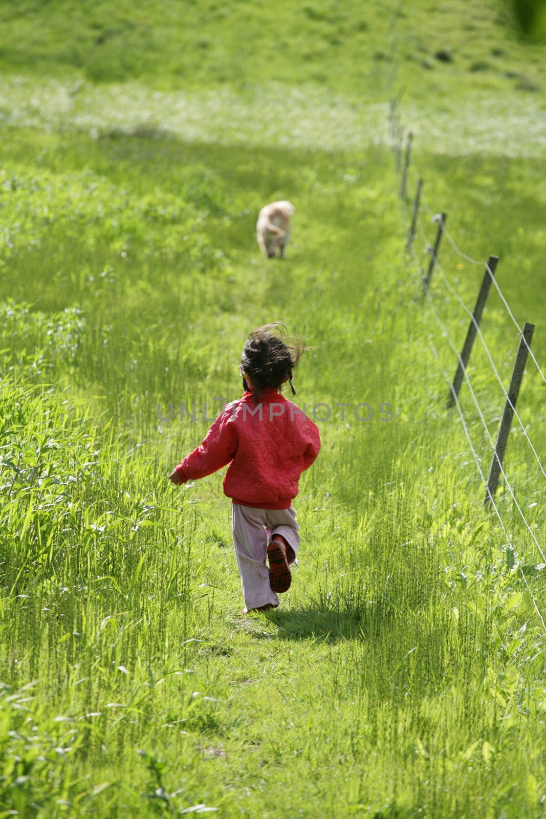small girl running in a green field in spring