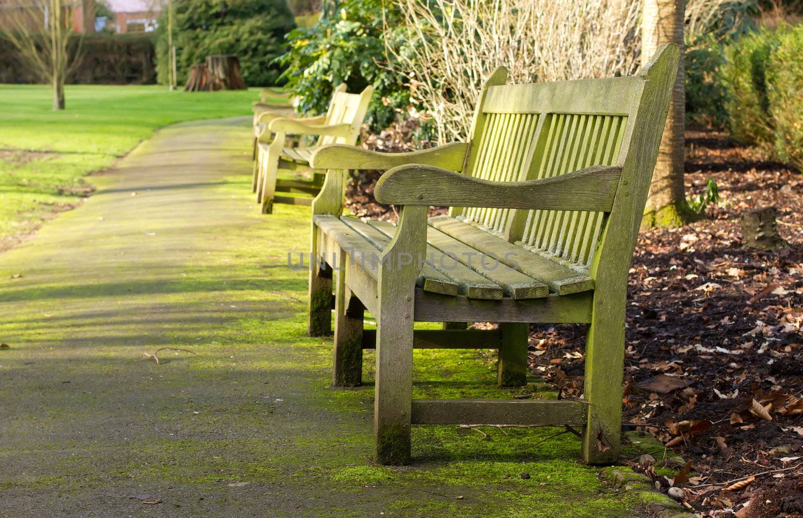 park bench on a cold winters day by smikeymikey1
