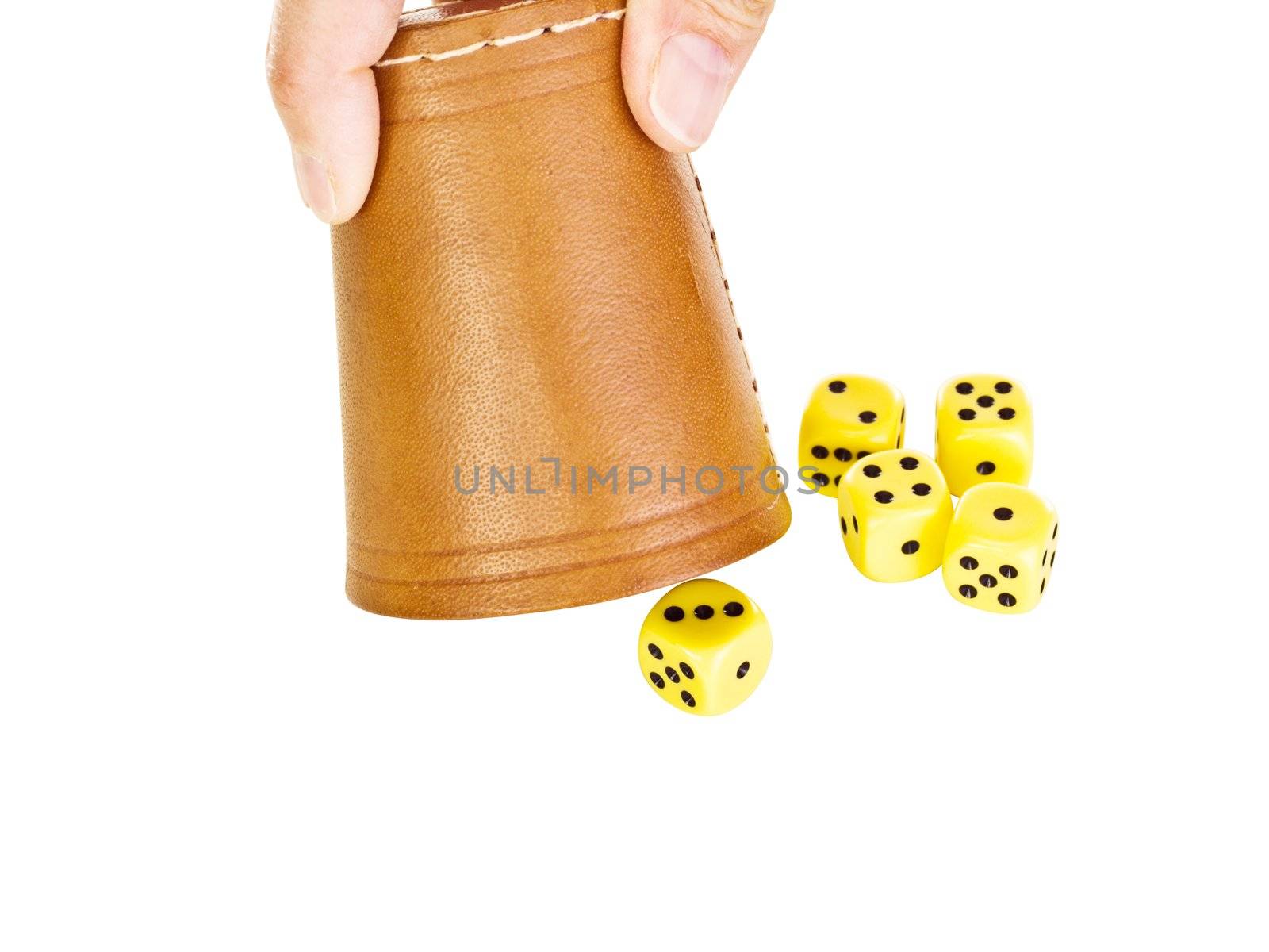 Person playing dice game