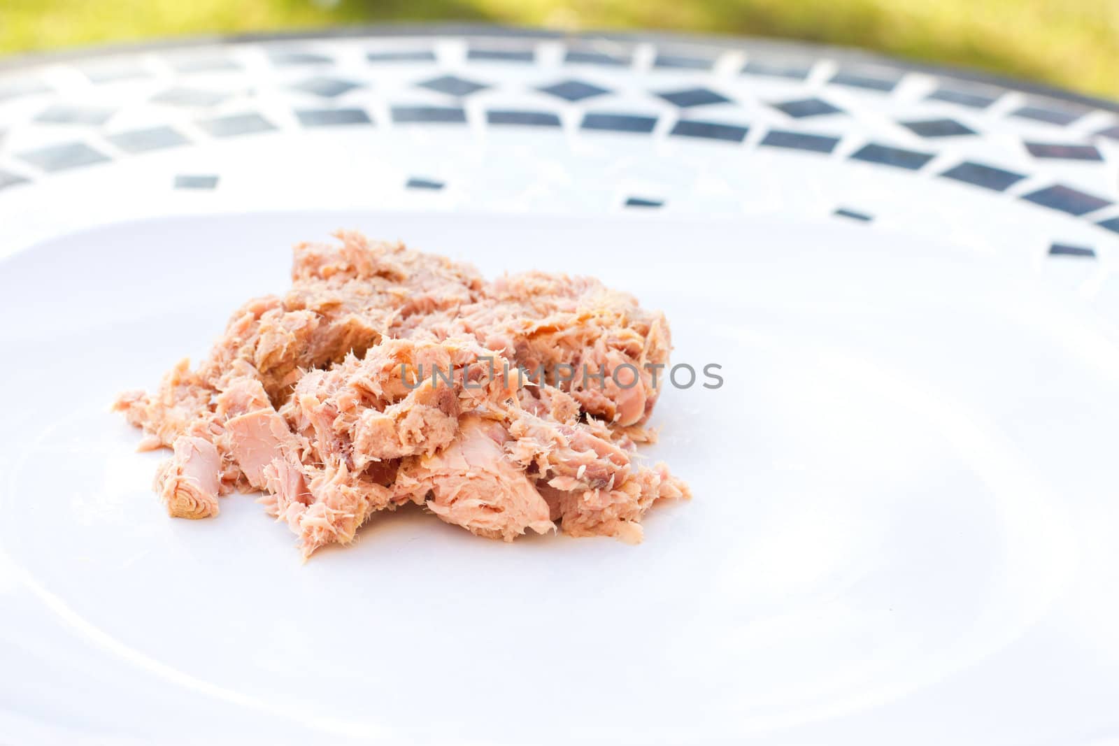 tuna flakes in oil on a white plate