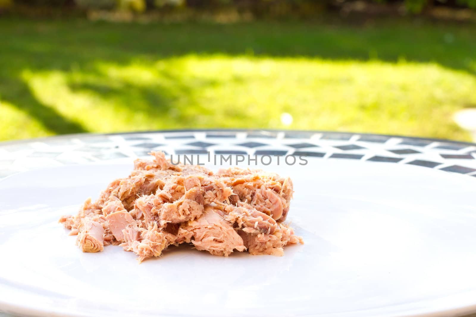 tuna flakes in oil on a white plate by smikeymikey1