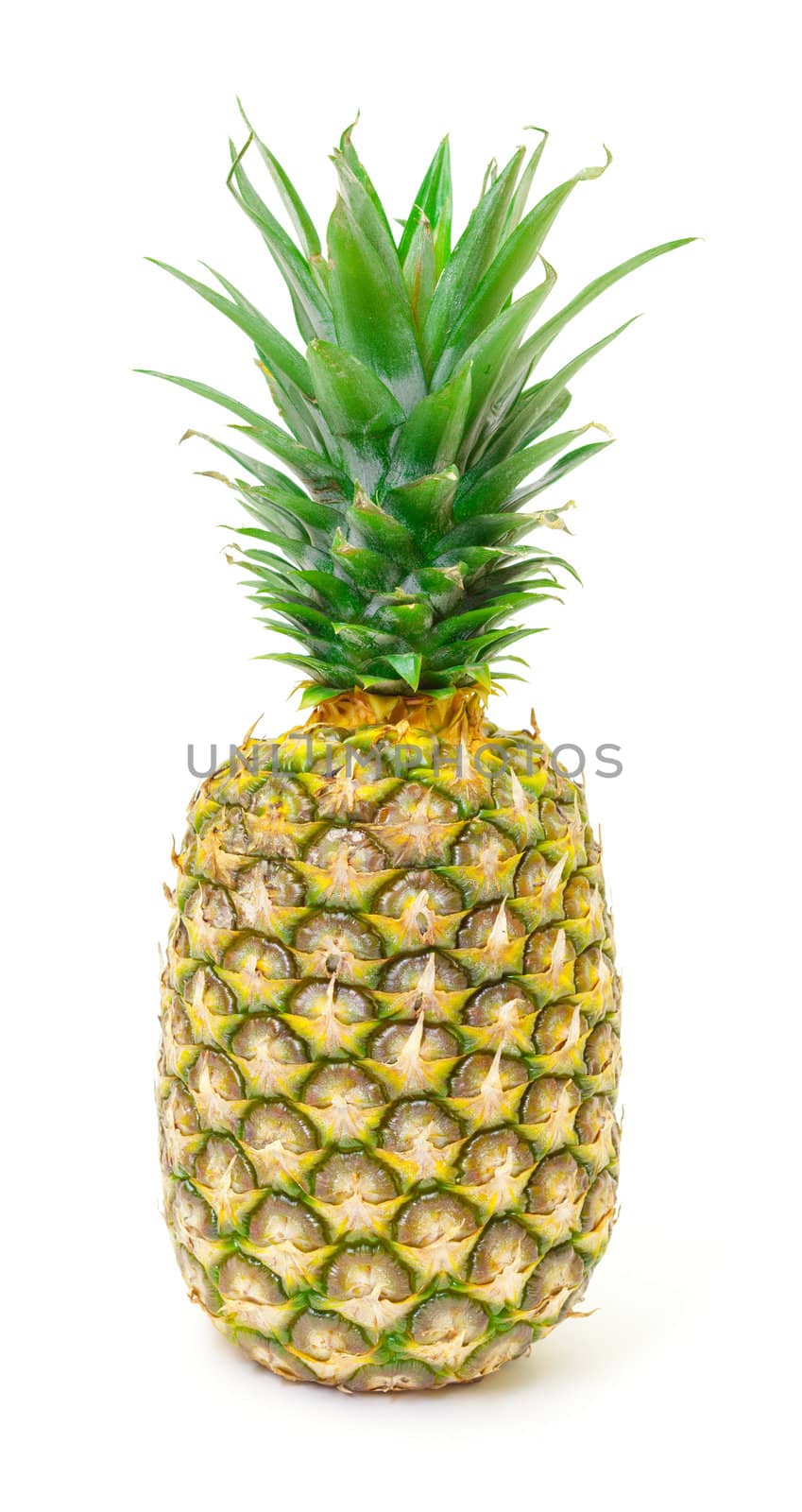 Ripe Pineapple Fruit,  isolated on white background
