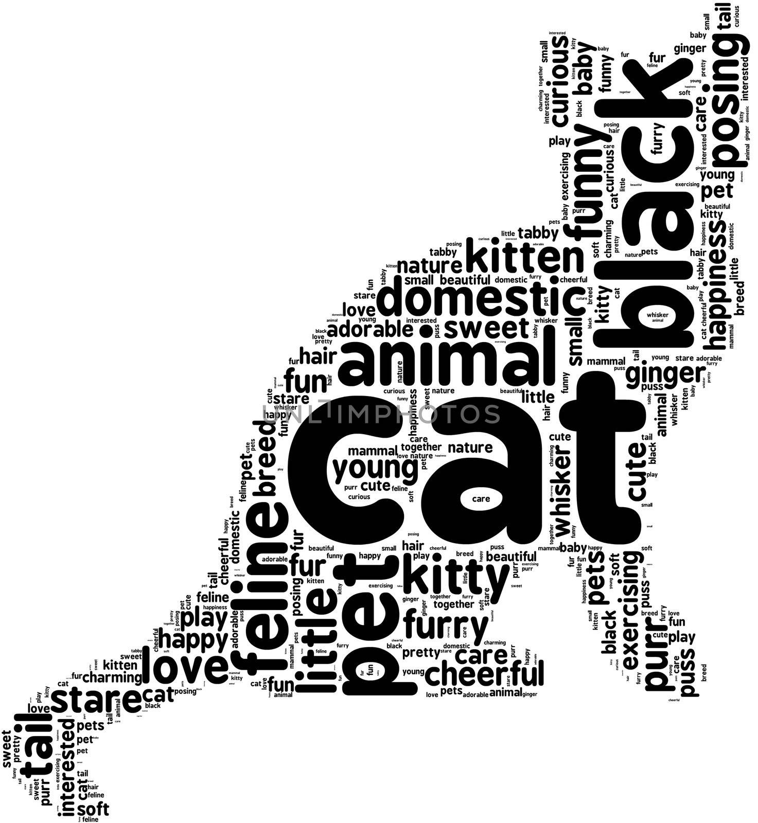 black cat word cloud illustration on a white background