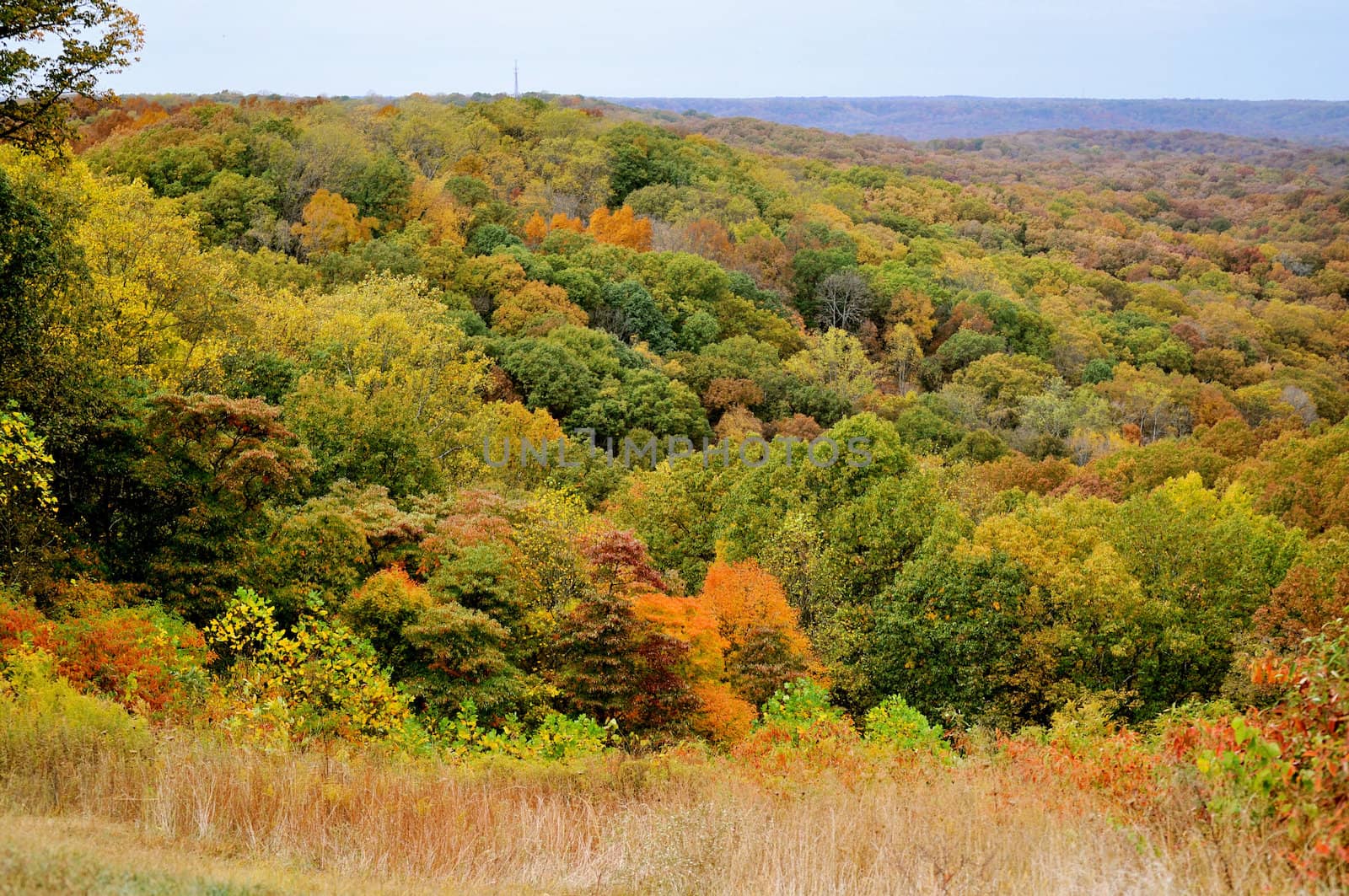 Brown County State Park