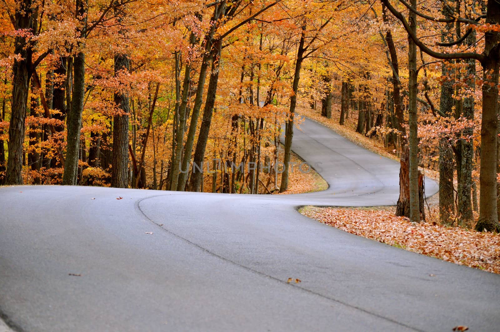 Brown County State Park