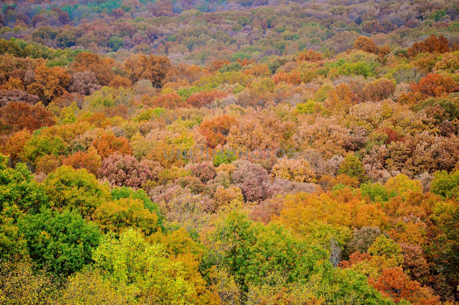 Brown County State Park