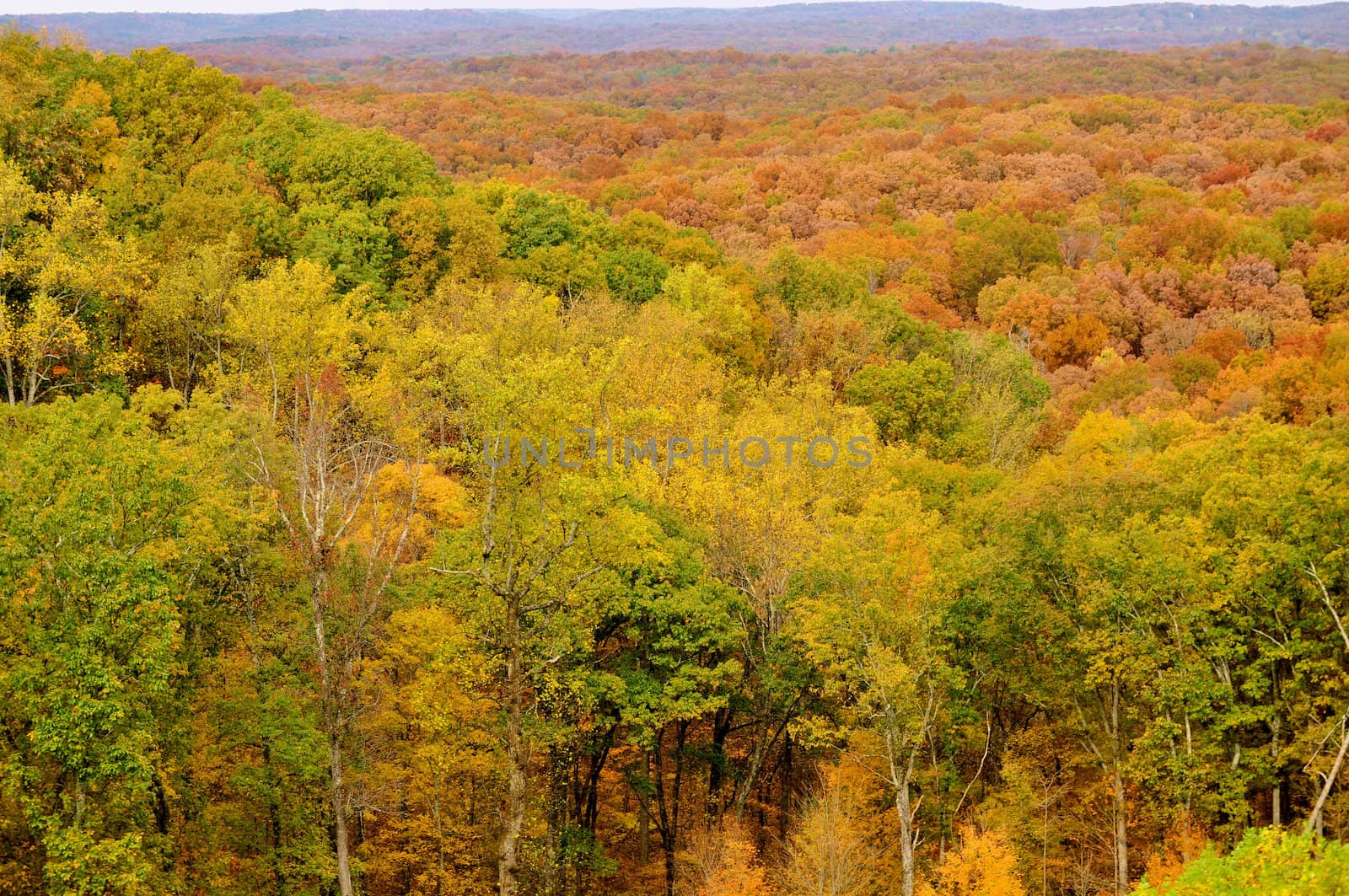 Brown County State Park