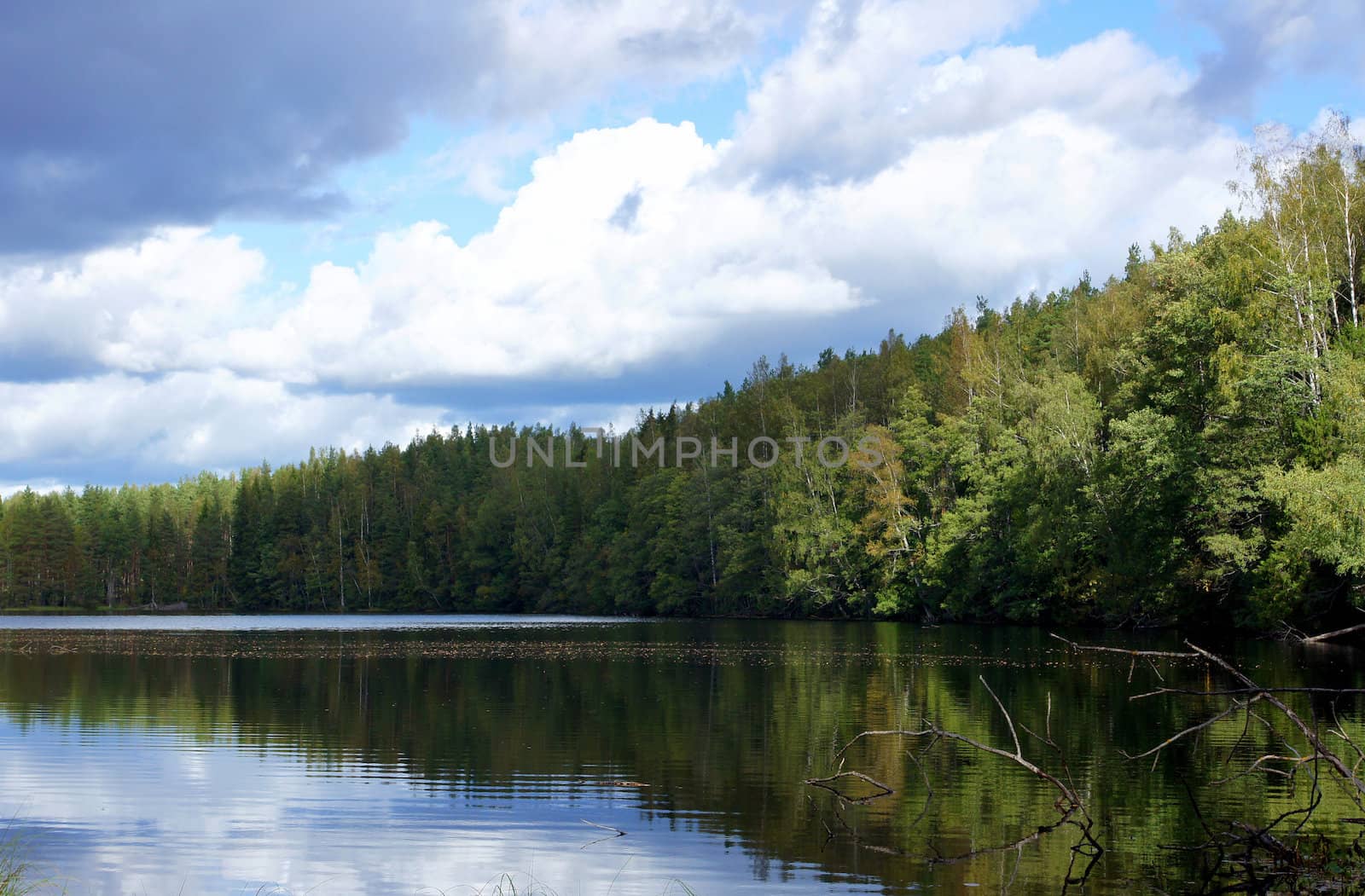 Lake and trees on a background of the blue sky