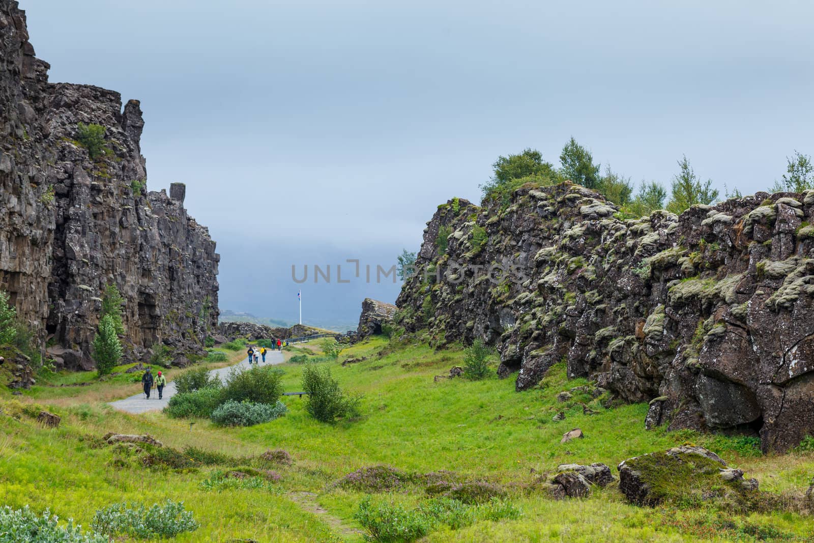Iceland summer landscape. Thingvellir National Park - famous Icelandic area.