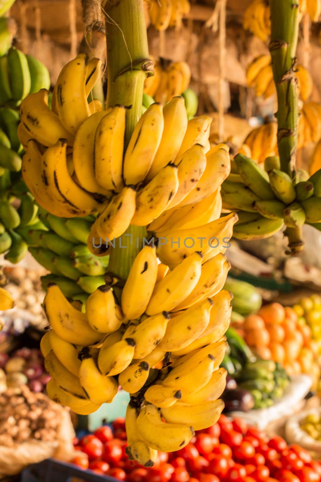 Ripe and green banana bunch hanging at a local vegetable market in Kenya, Nairobi