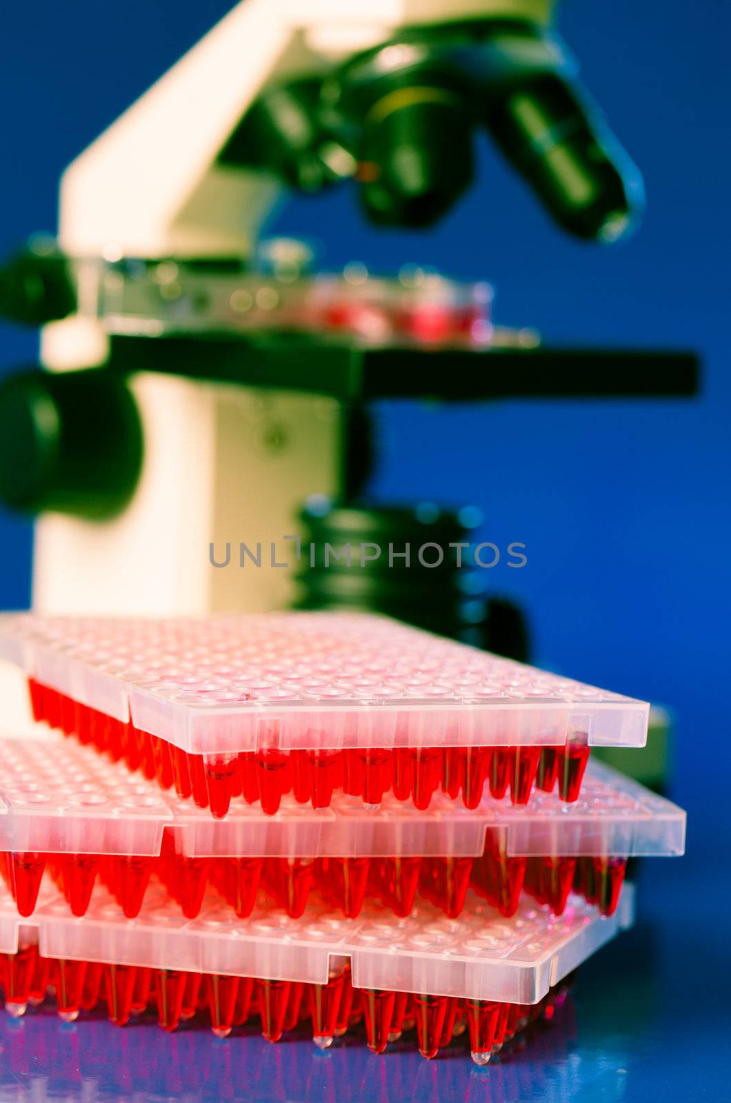 96 well plates on lab table with red liquid samples and microscope