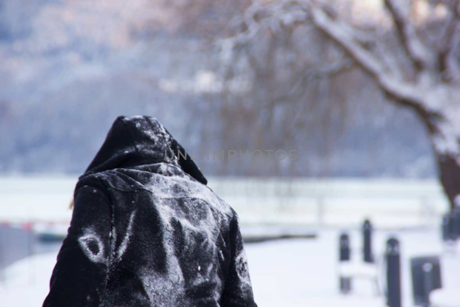 Person in a snowscape
