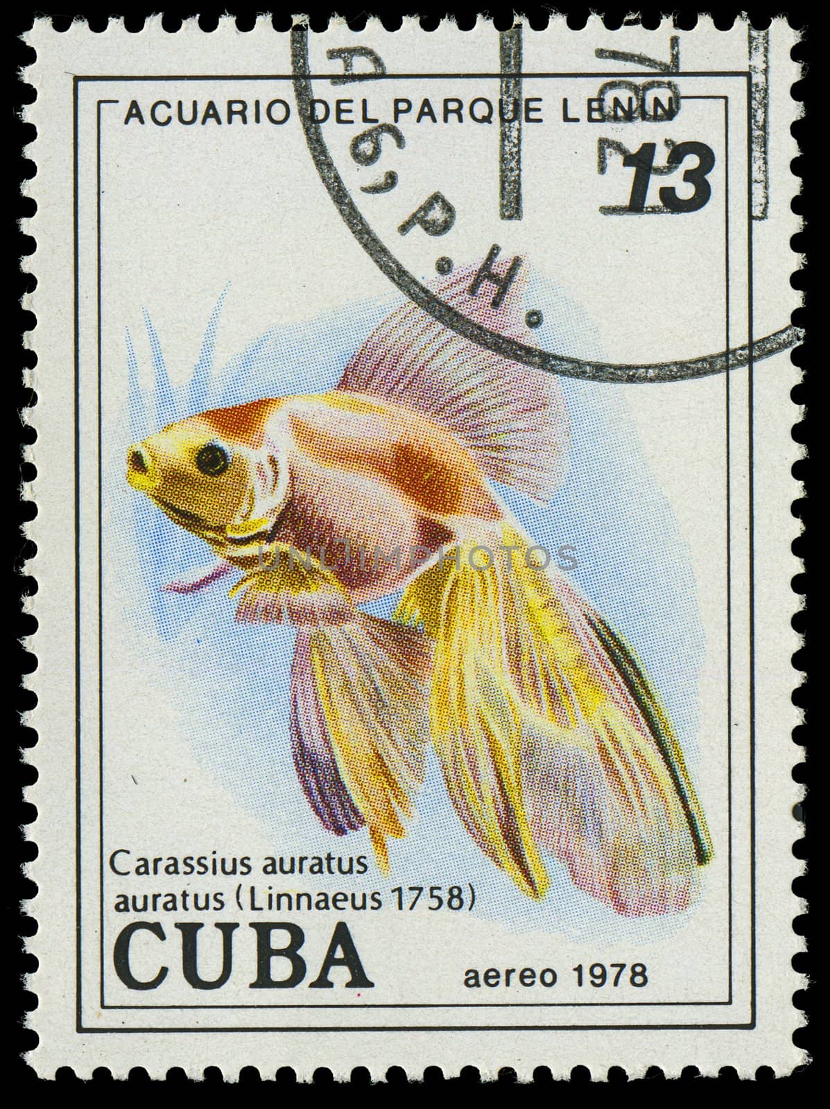 CUBA-CIRCA 1978: A stamp printed in Cuba shows fish Carassius auratus, circa 1978