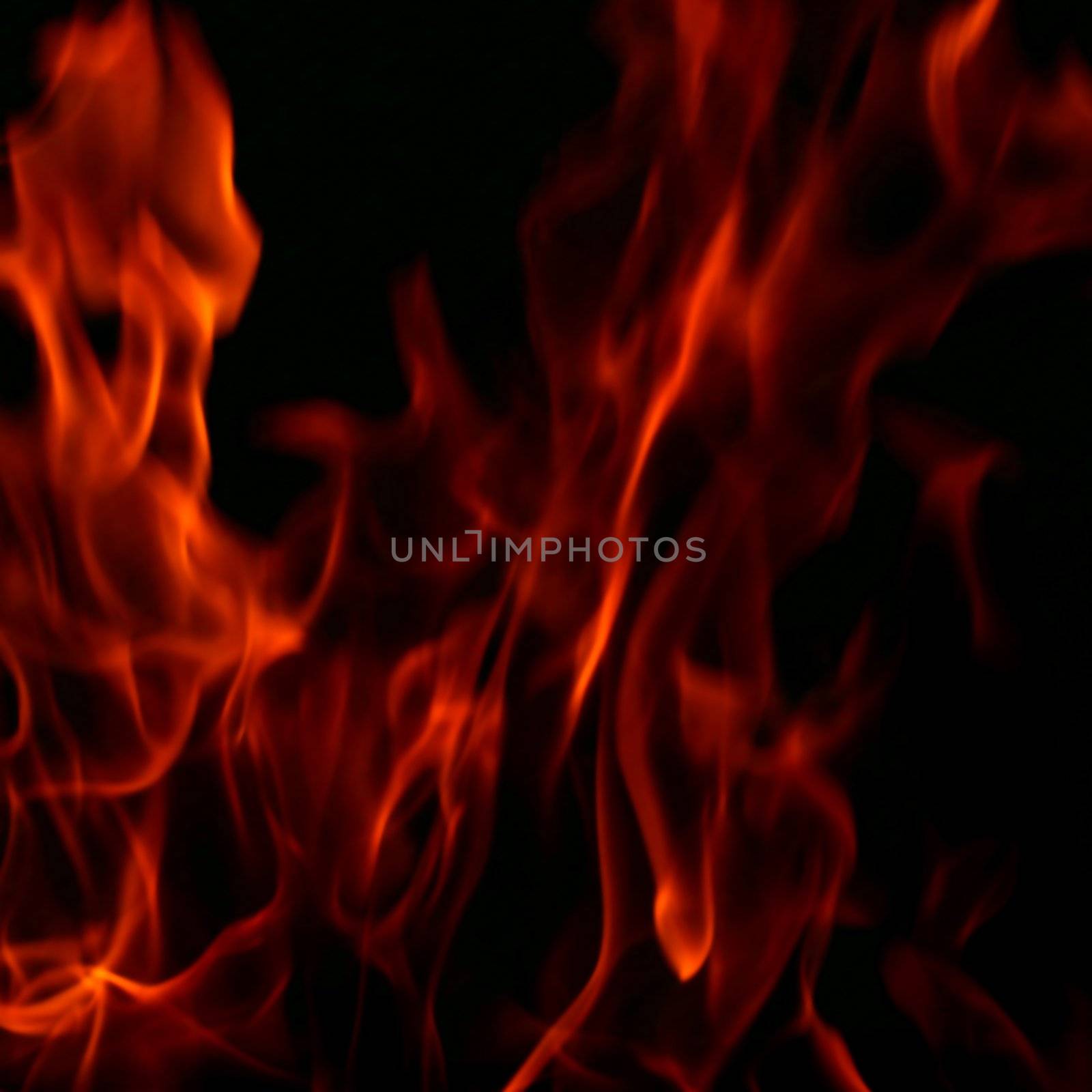 fire flame close up on black background