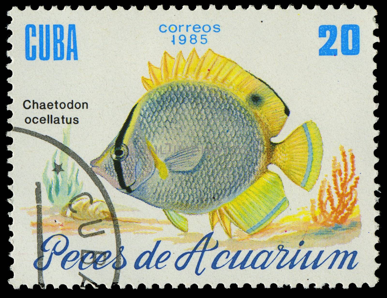 CUBA-CIRCA 1985: A stamp printed in Cuba shows fish Chaetodon ocellatus, circa 1985 by Zhukow