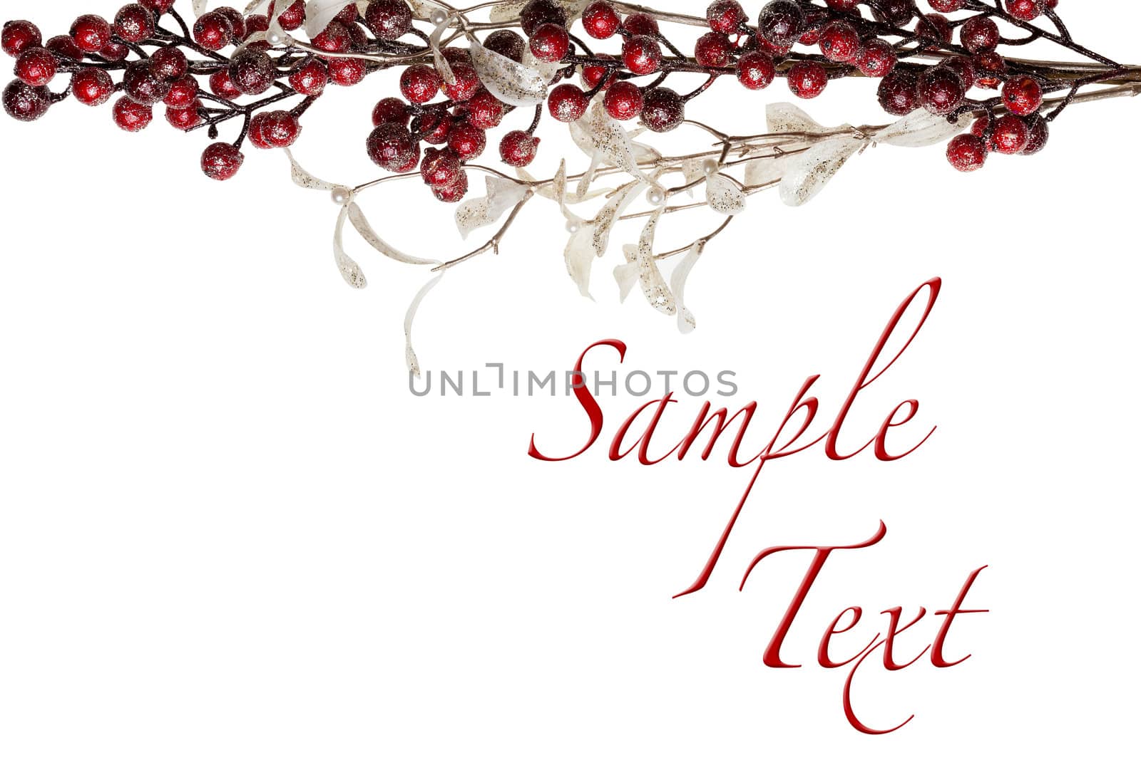 Sparkly Red Berries and Silver Glitter Pearl Leaves Border with Copy Space