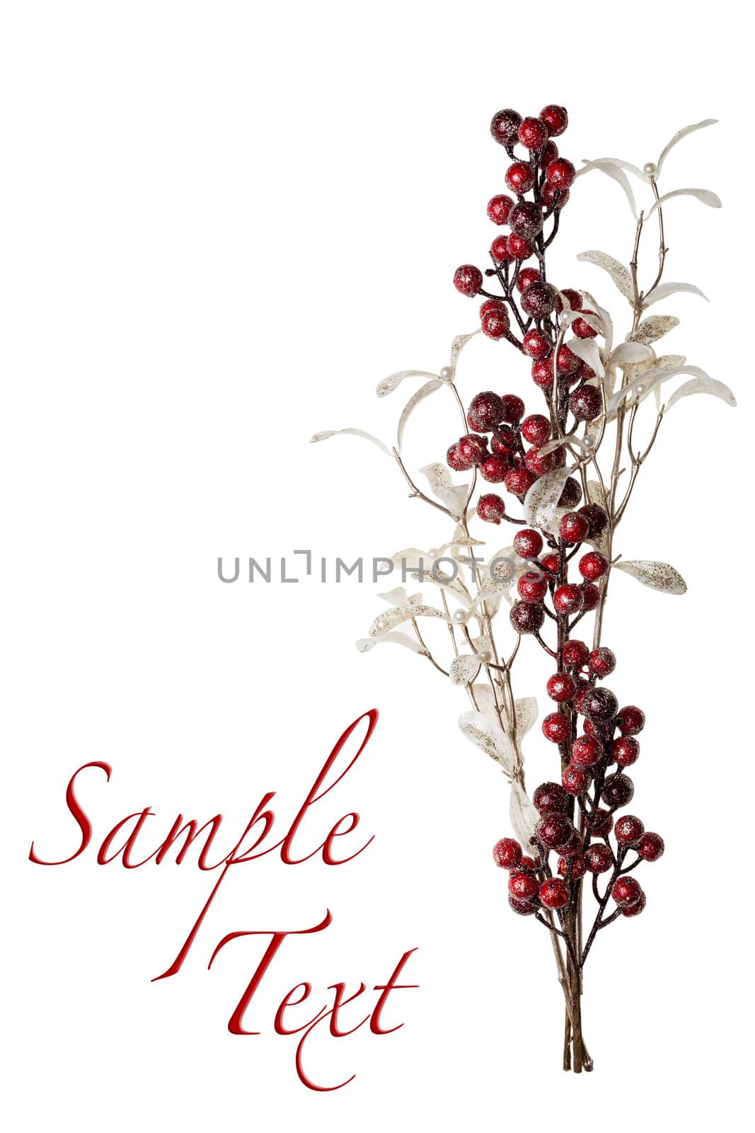 Sparkly Red Berries and Silver Glitter Pearl Leaves Background with Copy Space