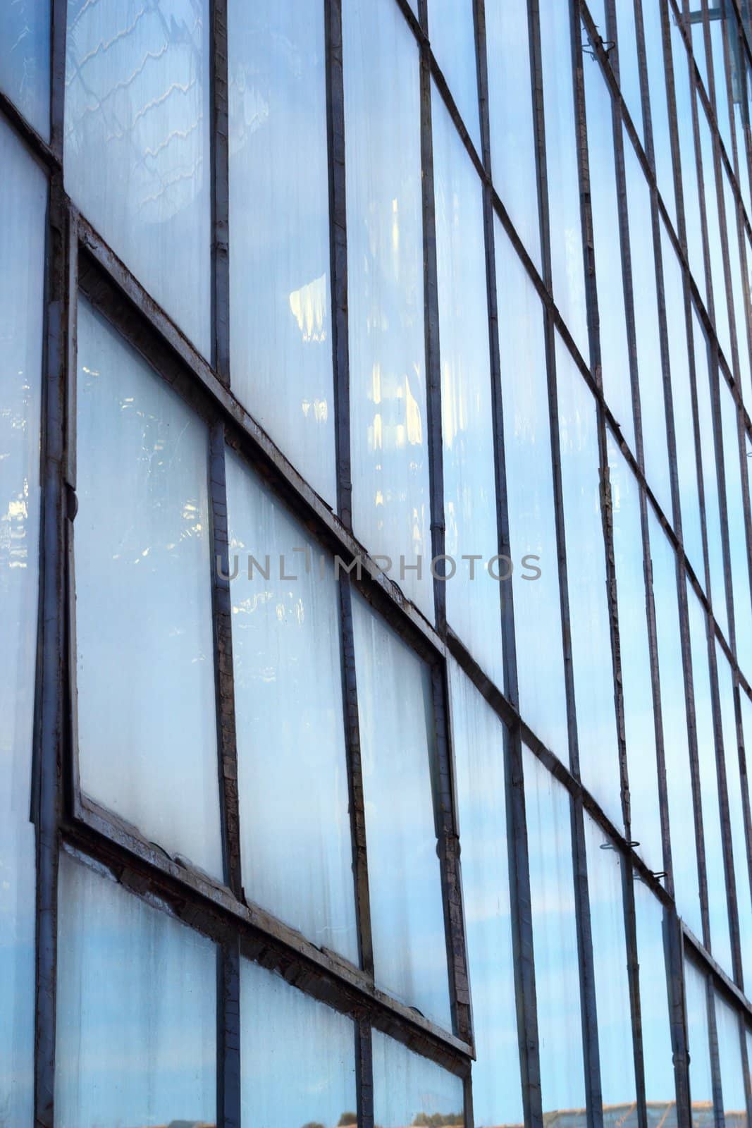 windows of a steel glass wall on facade of a greenhouse