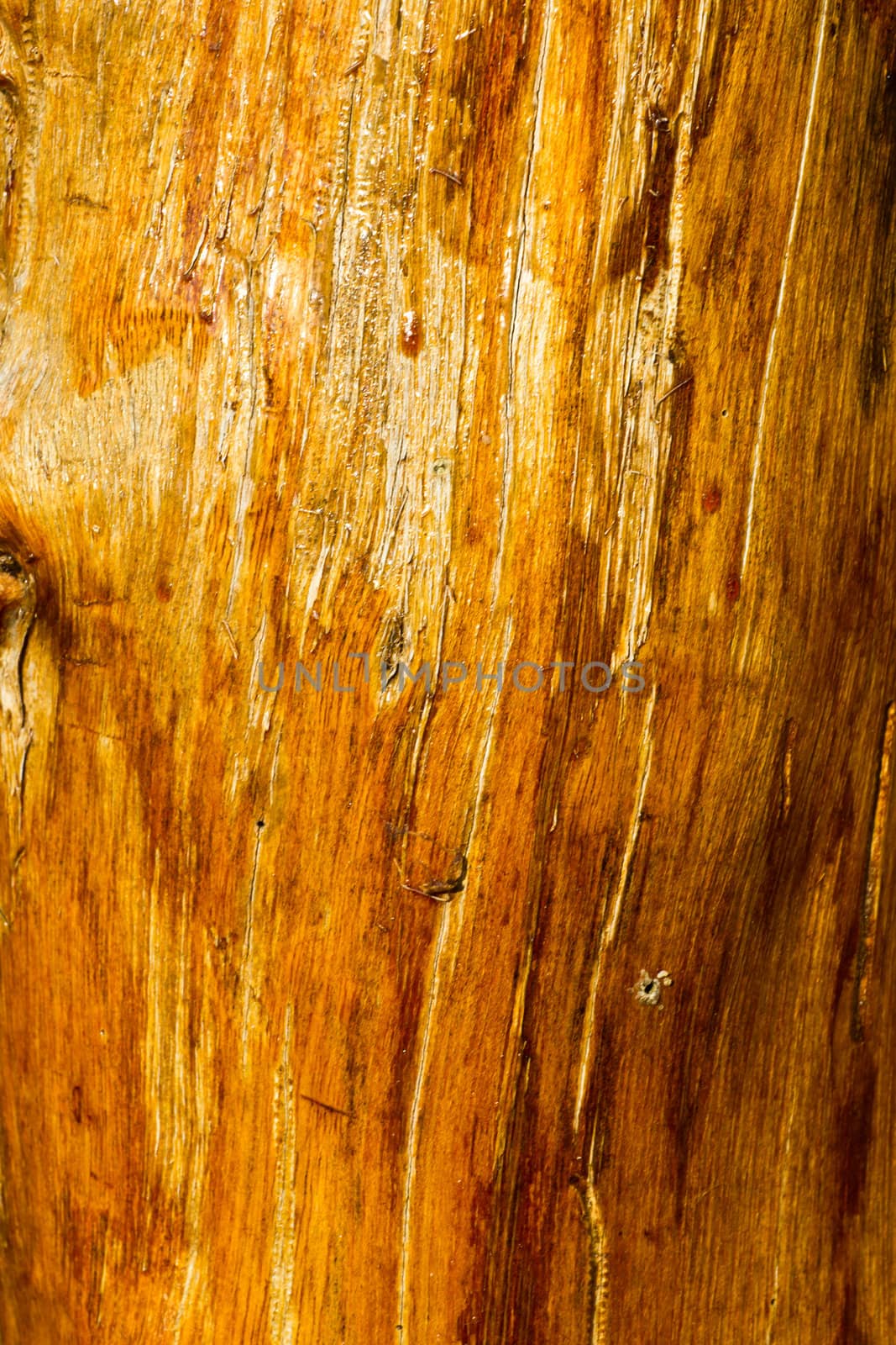 cracked wood background