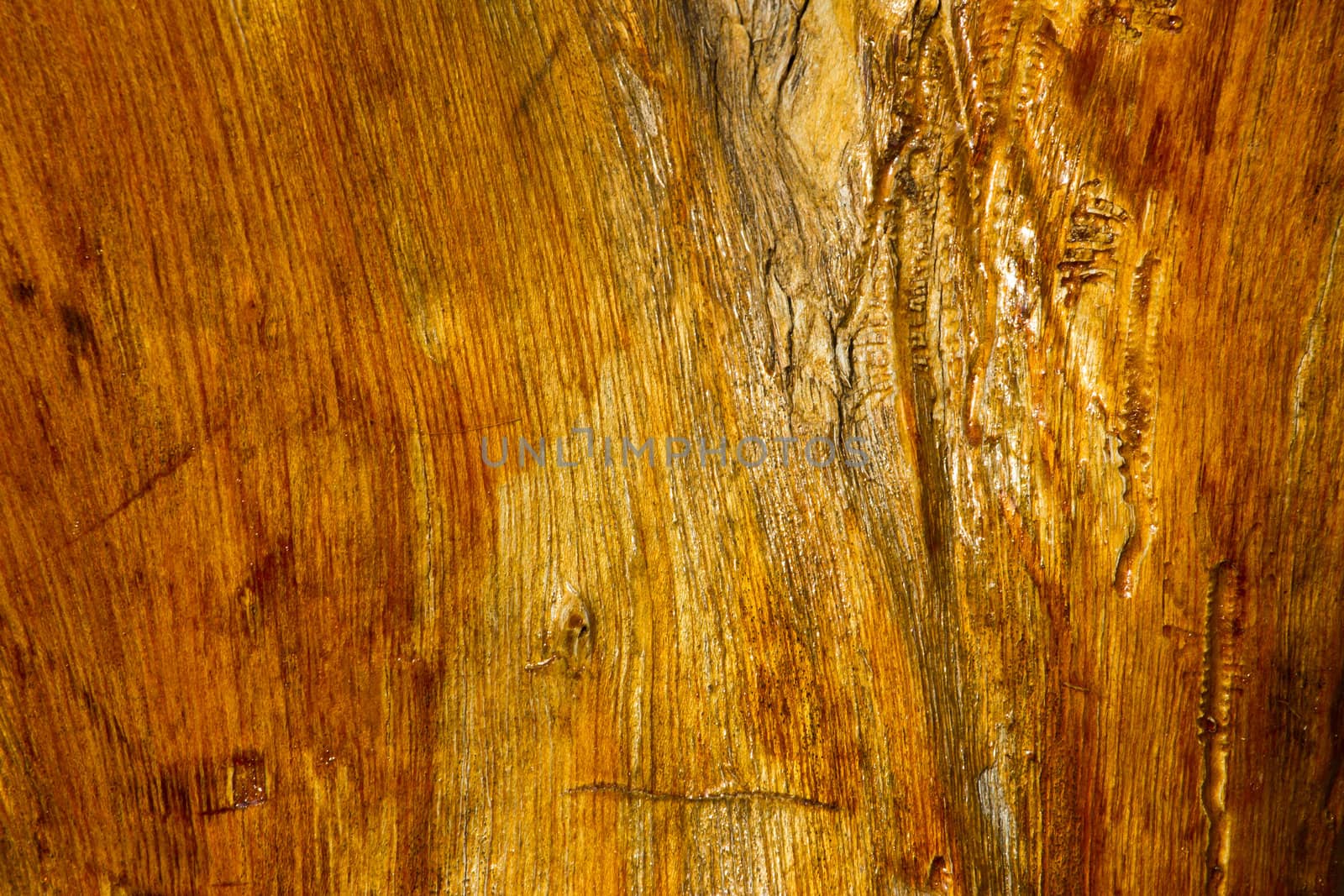 cracked wood background by wasan_gredpree